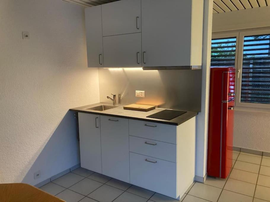 2- Zimmerwohnung-Duplex