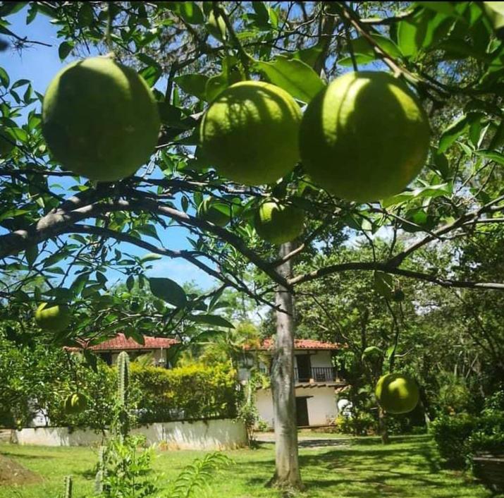 Ecoparque La Cañada