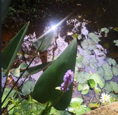 Ecoparque La Cañada