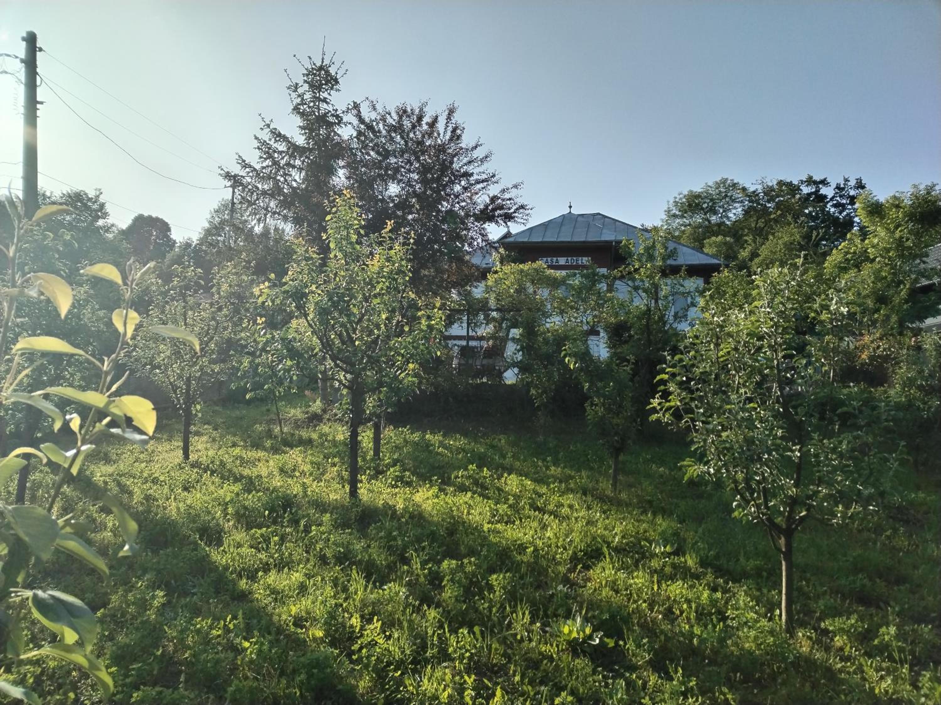 Casa Adela