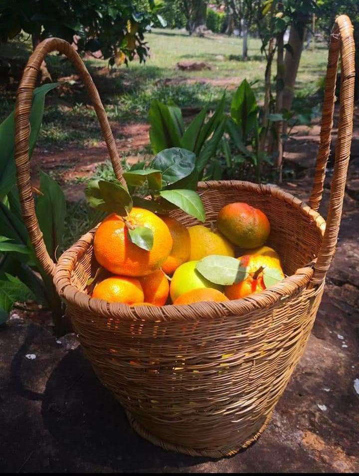 Ecoparque La Cañada