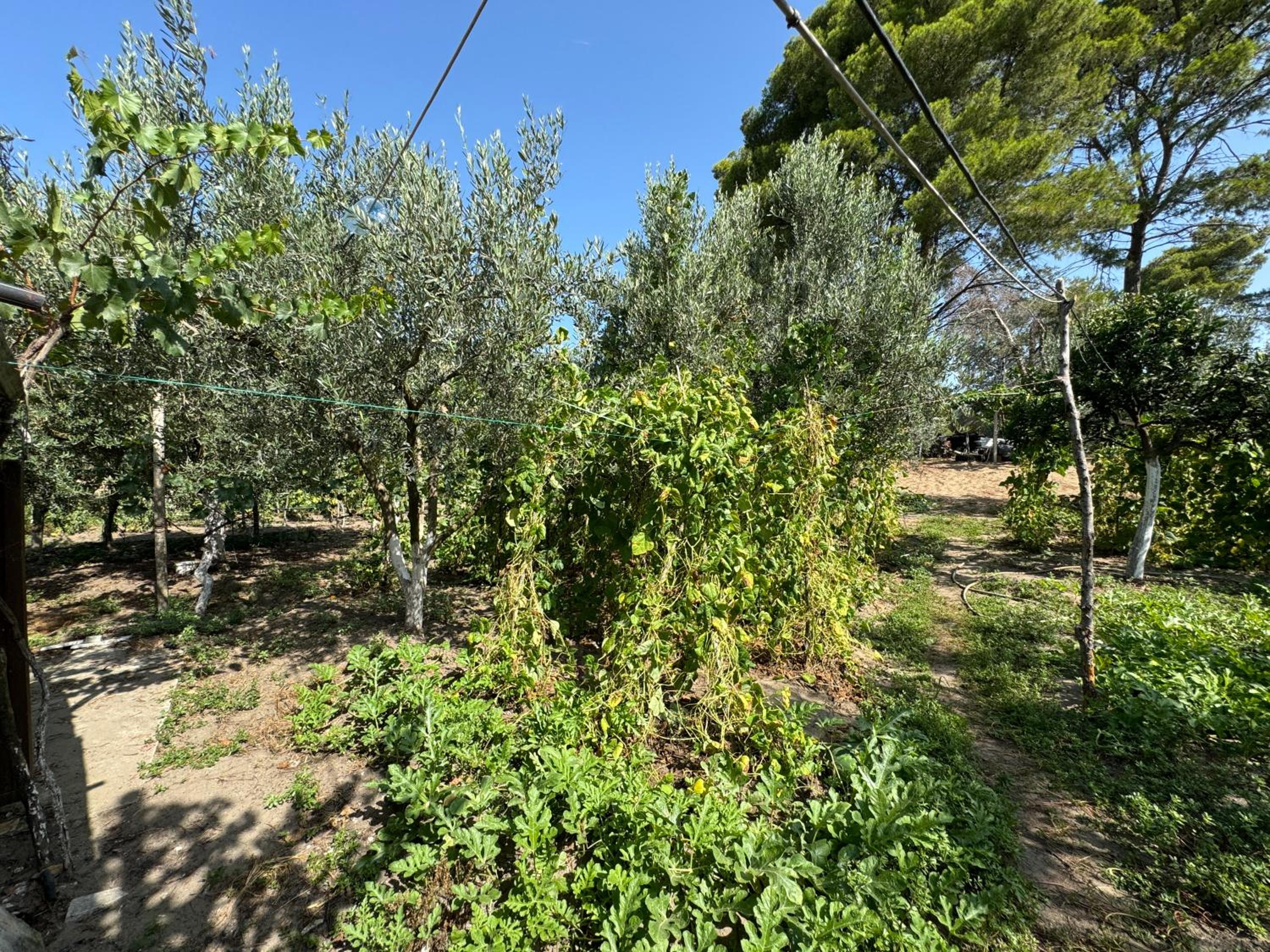 Vlora Three Houses
