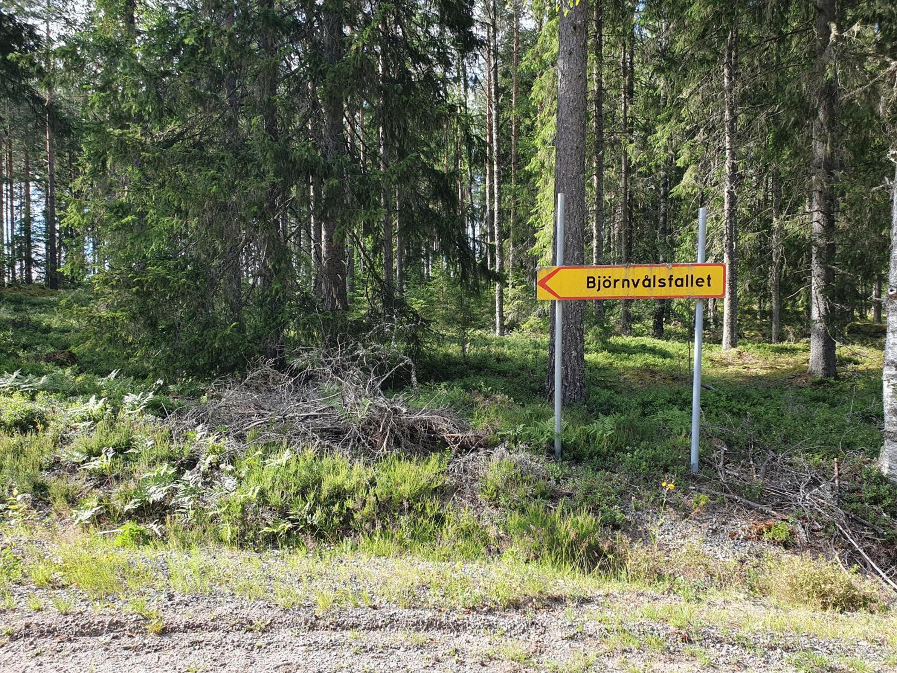 Photo 22