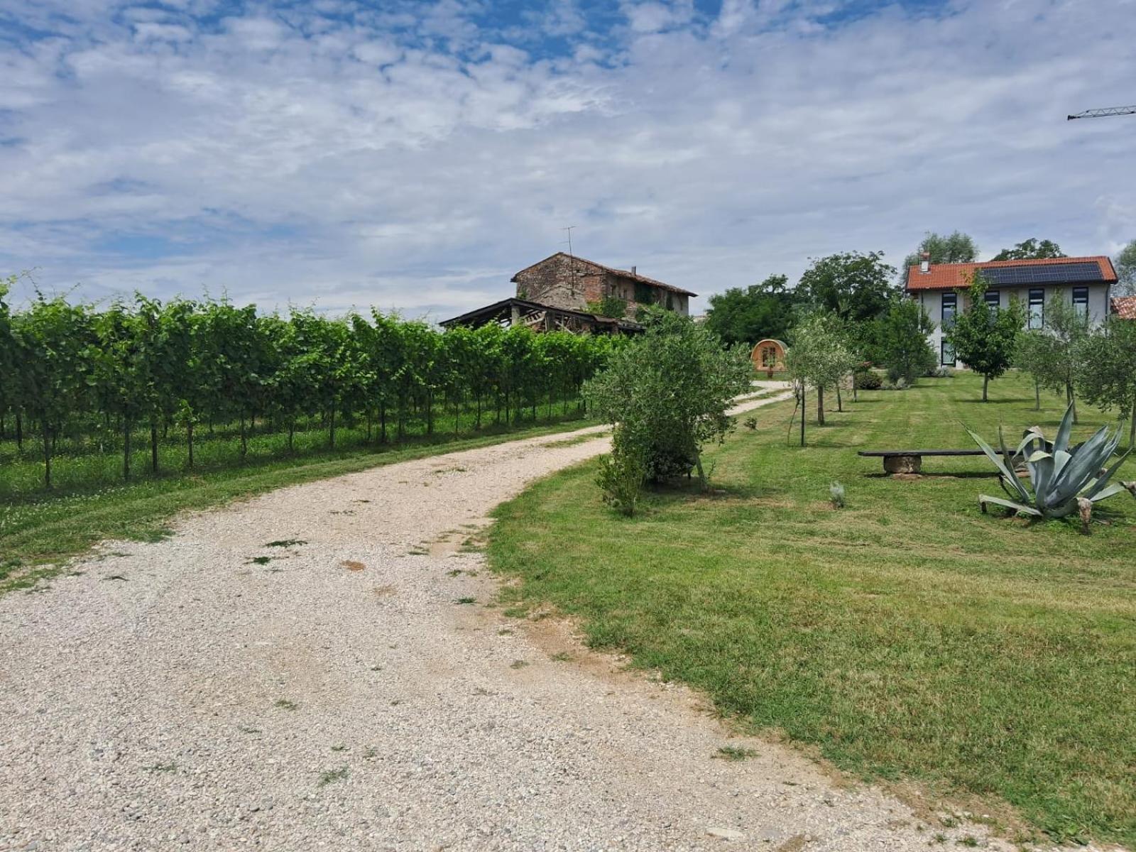 Casa Zafferano - apartment with garden