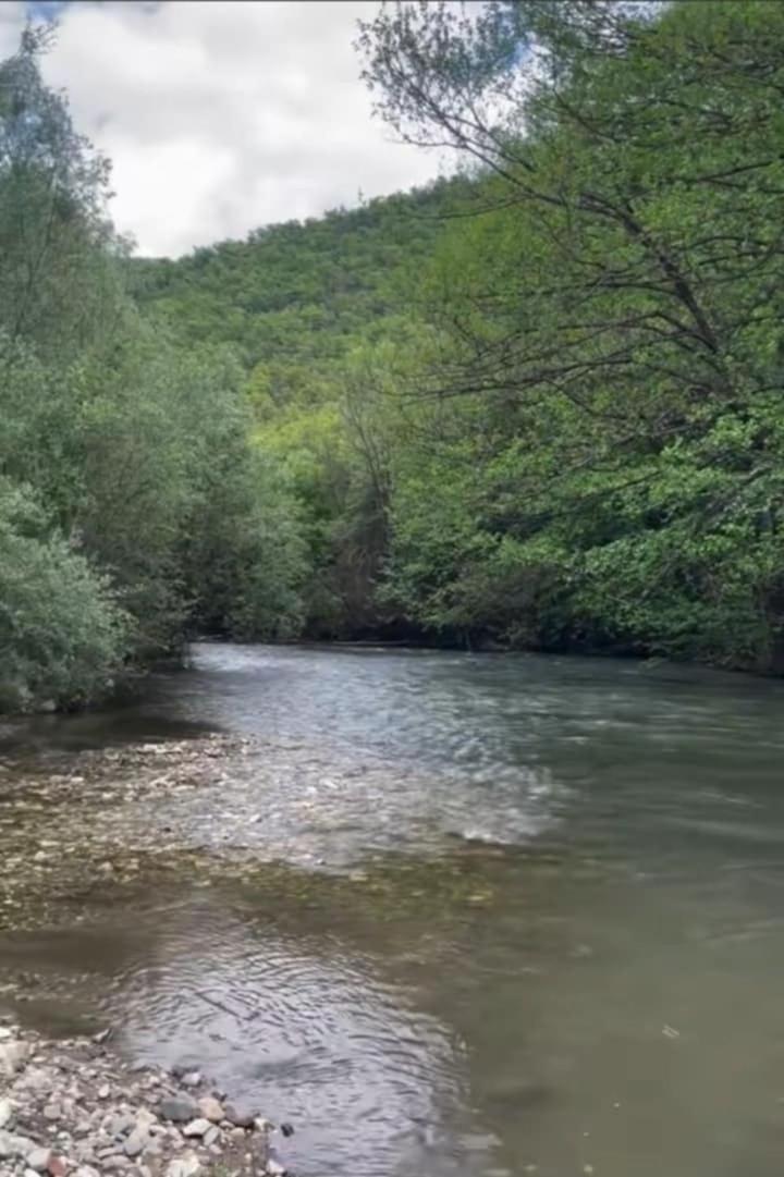Suvenir