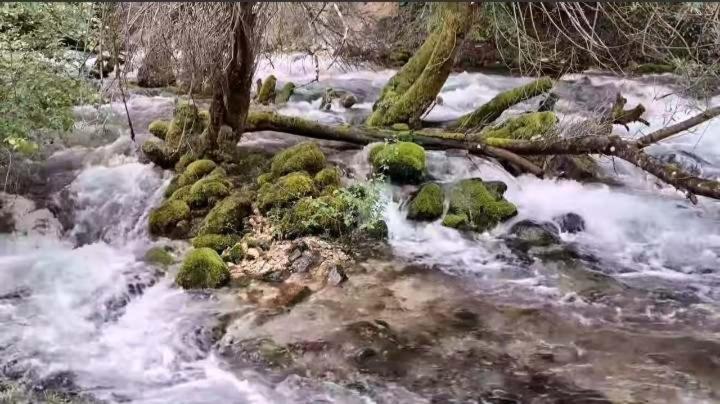 Suvenir