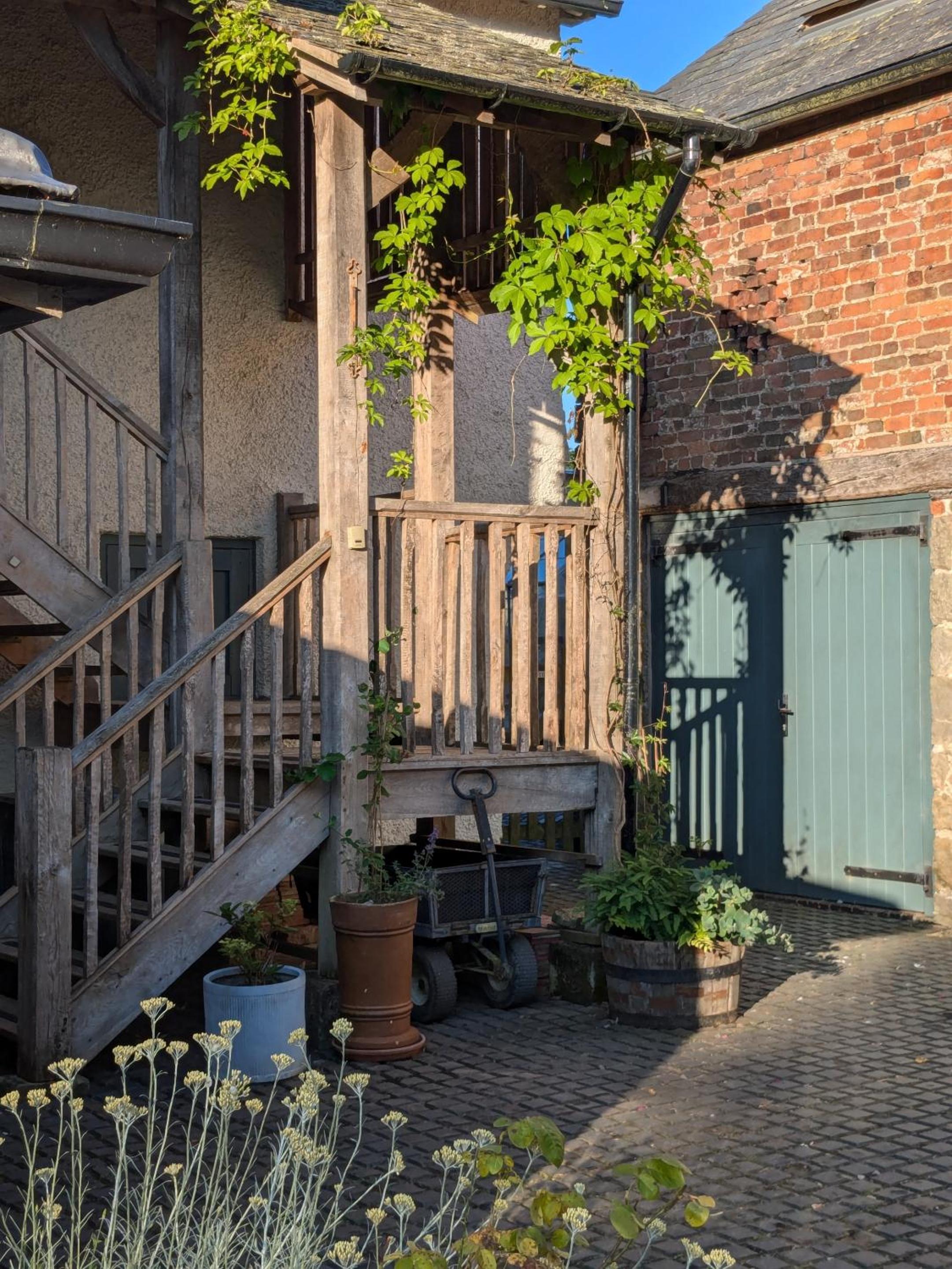 Garden View Apartment