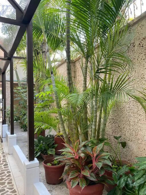 Modern Apartment in Laguito