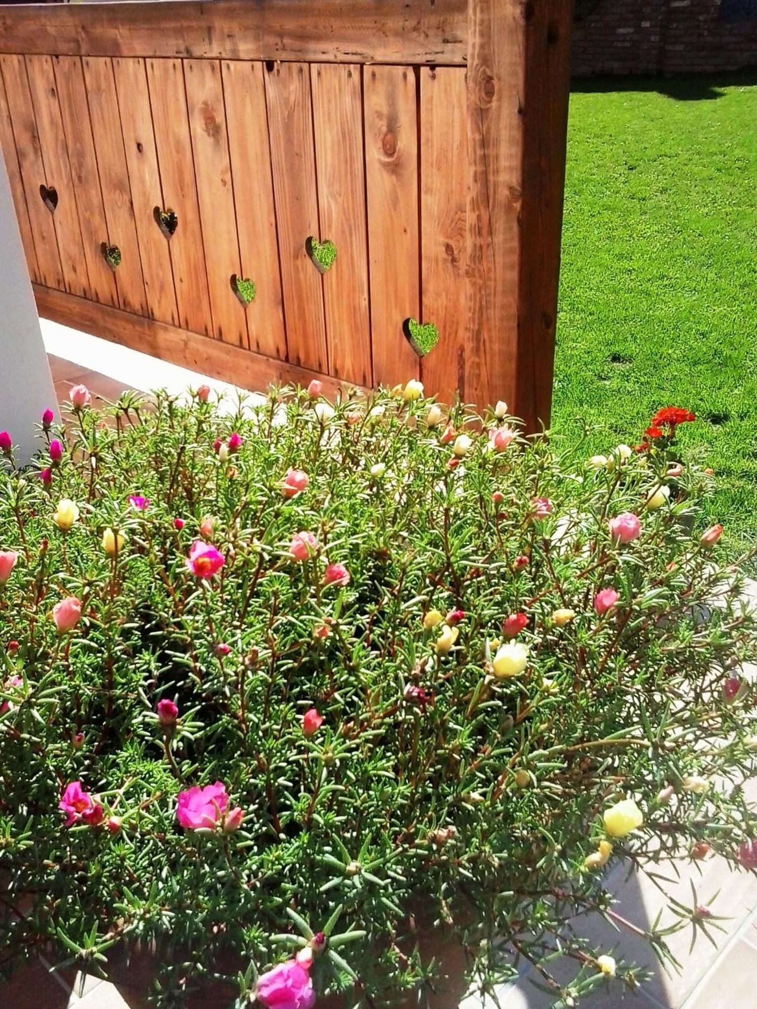 Photo 30