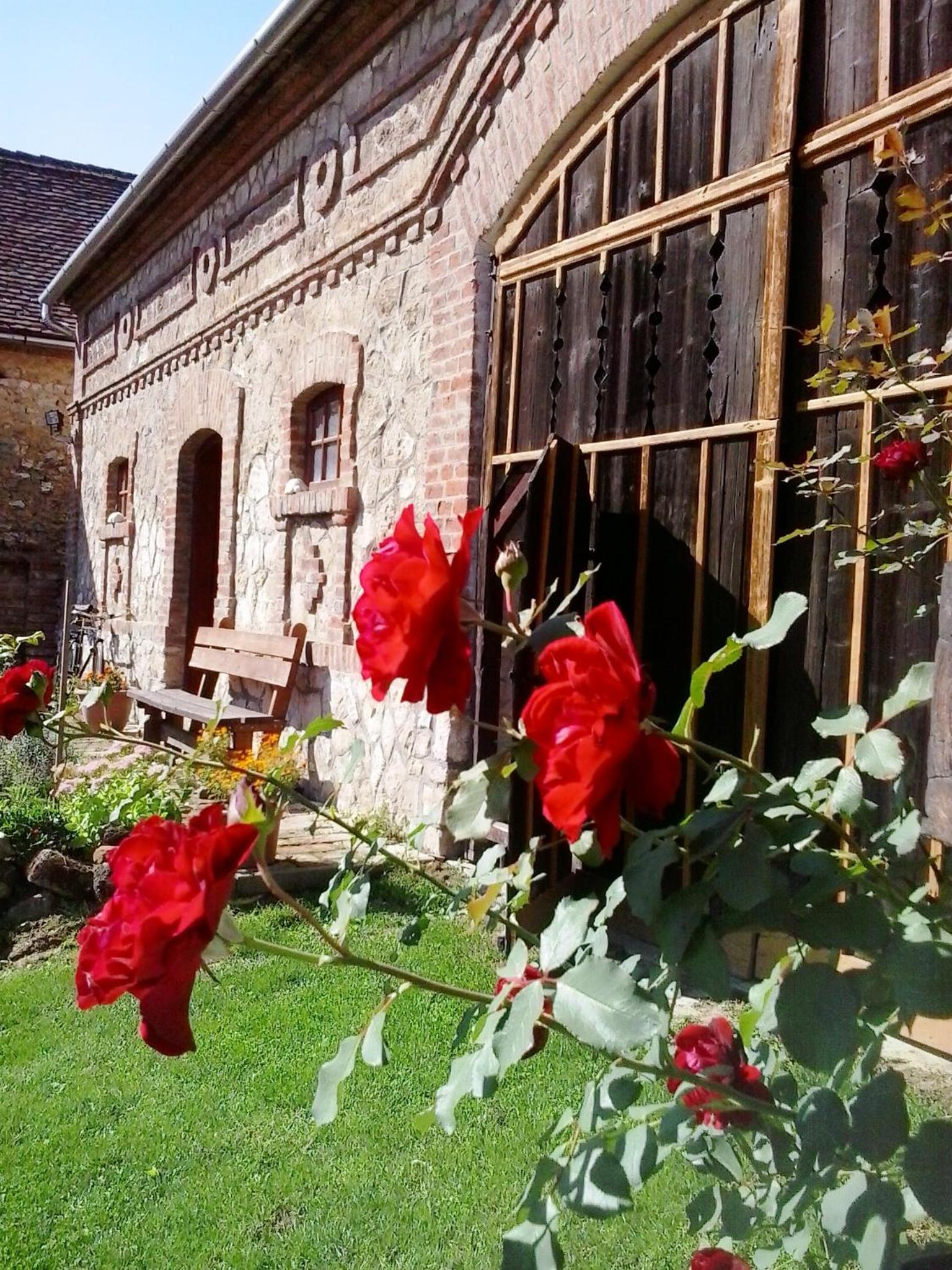 Photo 31