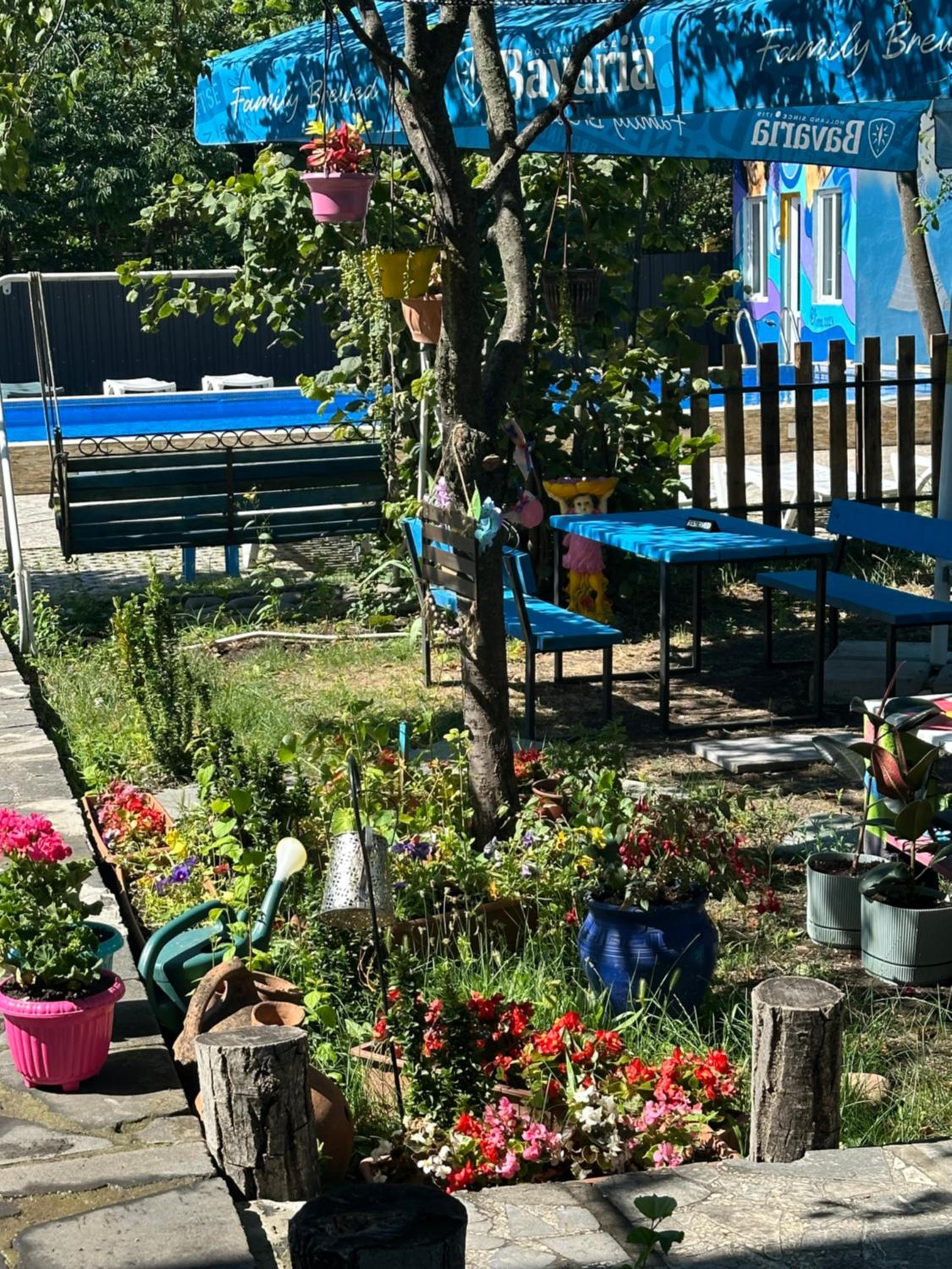 Photo 40