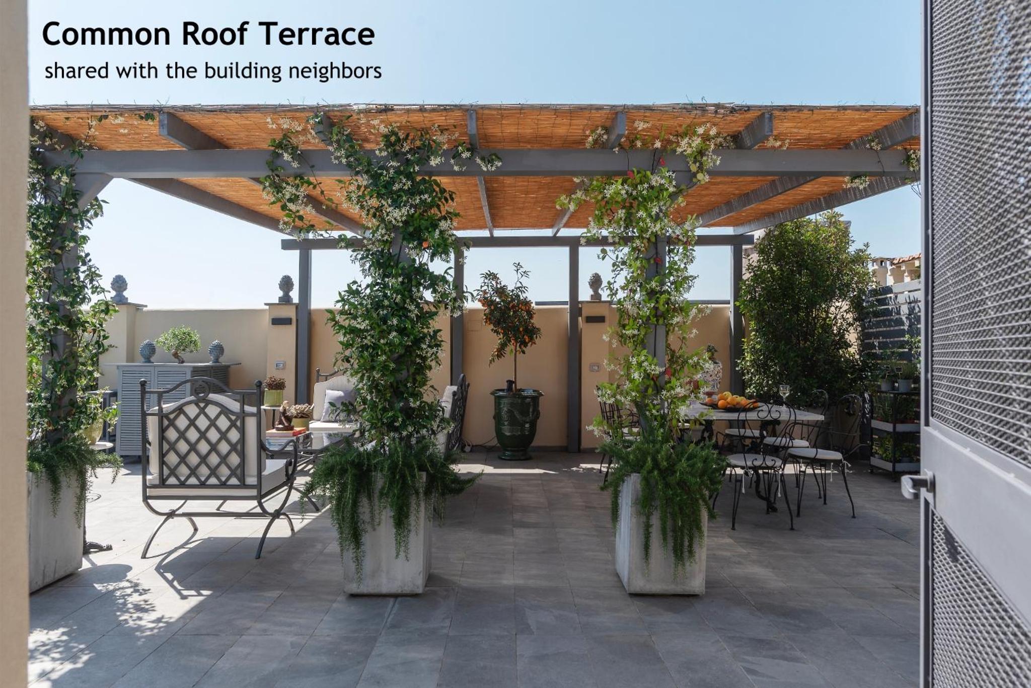 roof