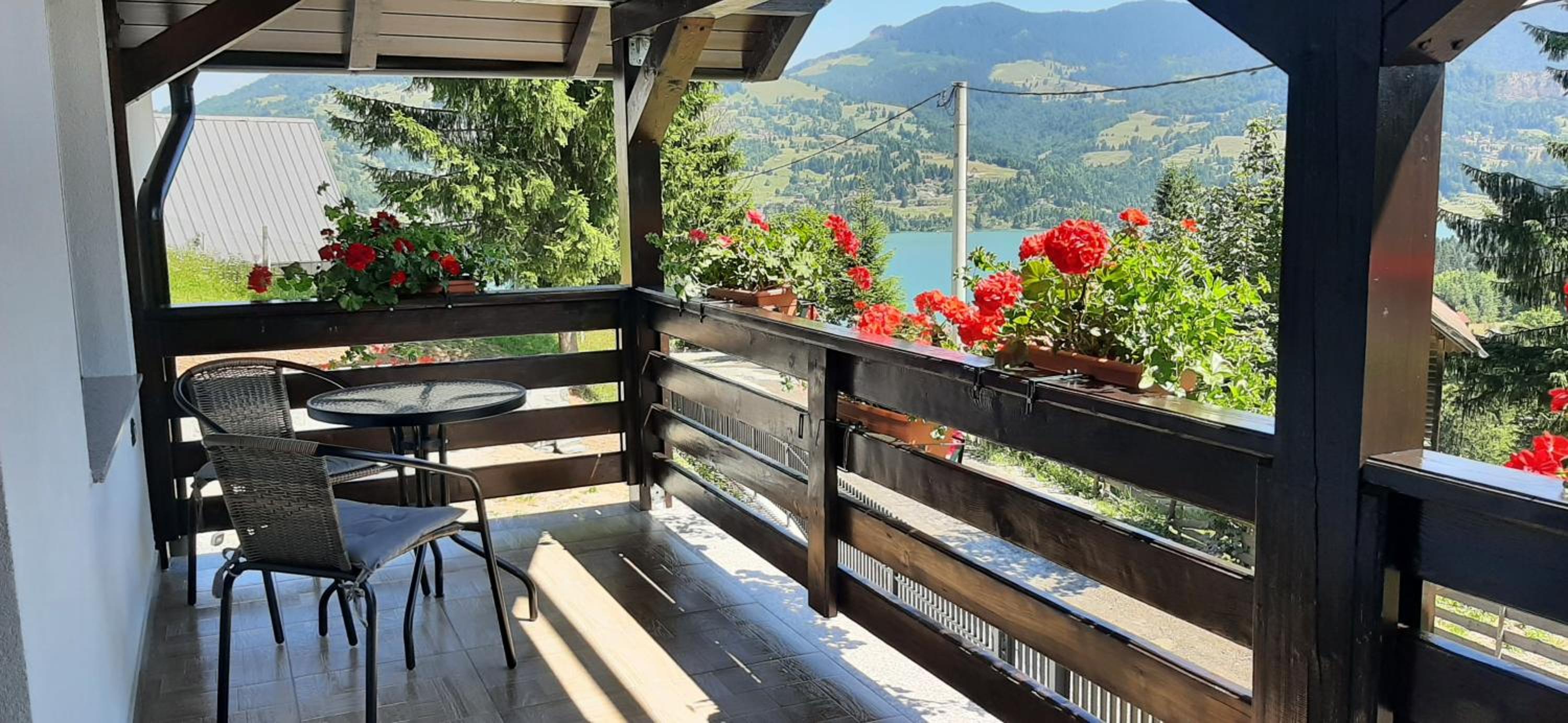 Casa Mihali Colibița view 3