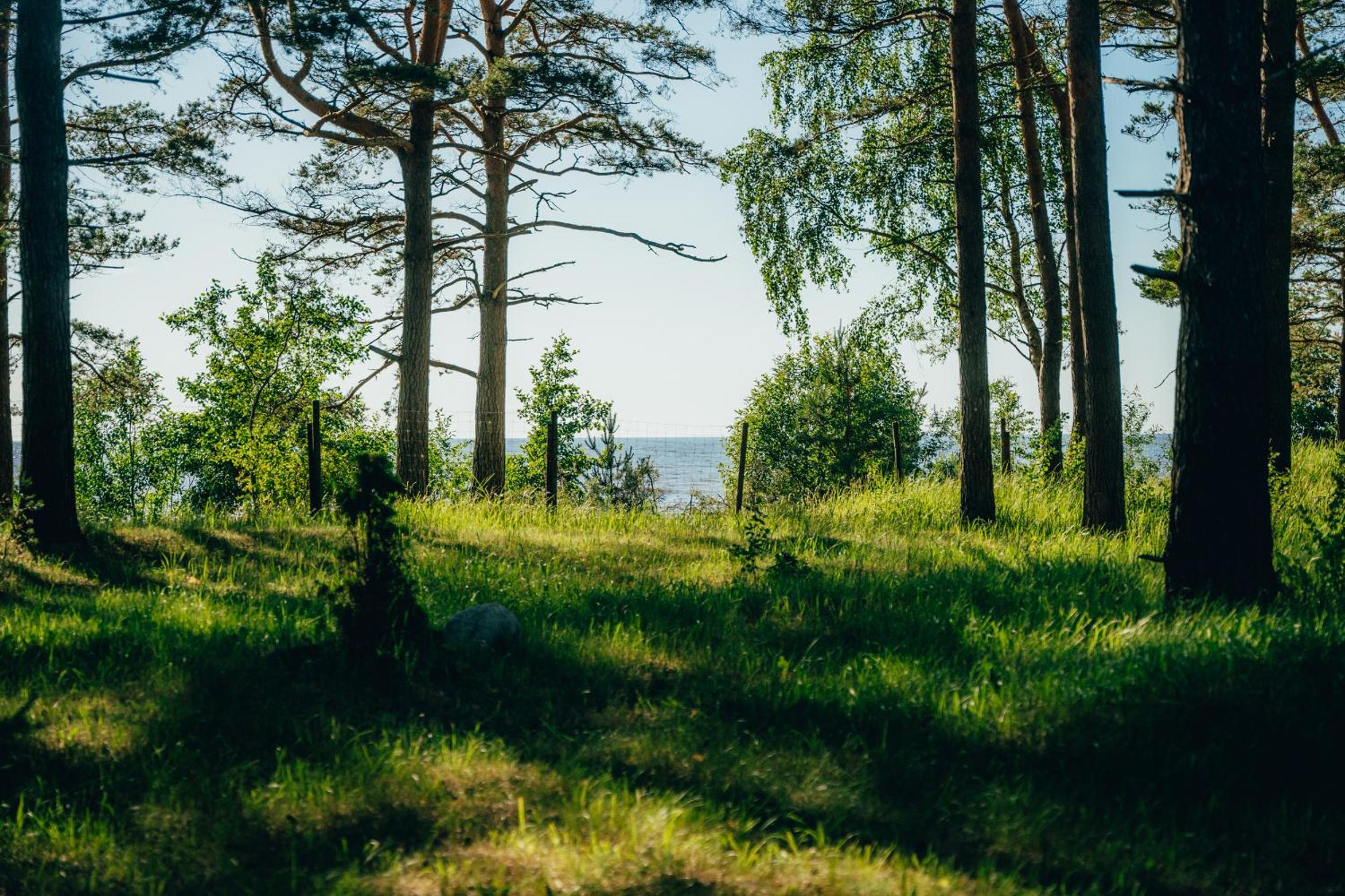Kempings Vārzas