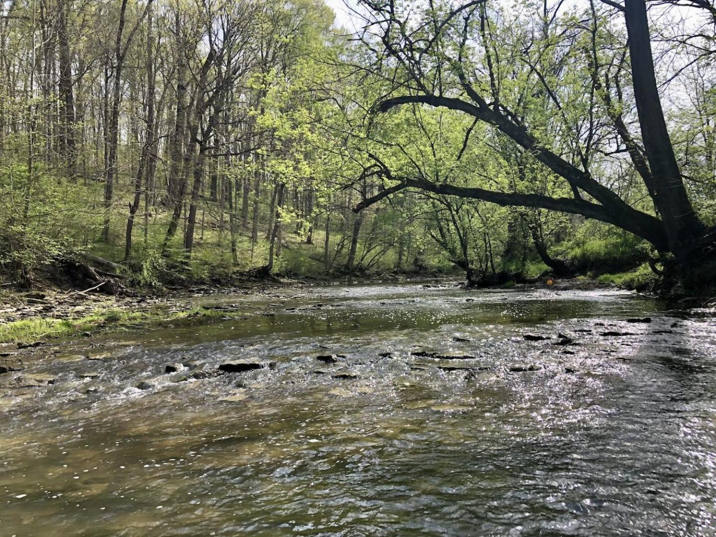 100 Acre Relaxing Retreat Near ARK- The Cabin view 4