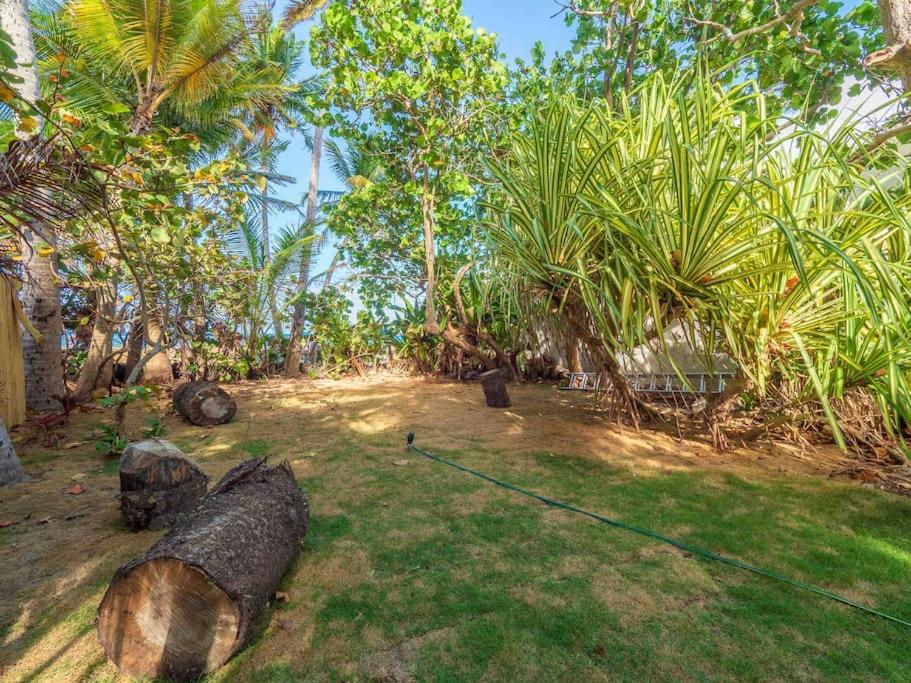 Ocean Boulevard - Beachfront 7 Bedroom Villa Best Beach in PR!