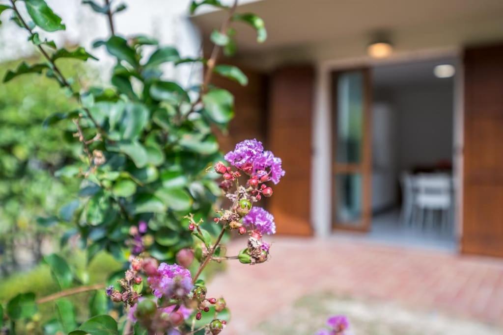 Casalborsetti Apartments - Affitti Brevi Italia view 5