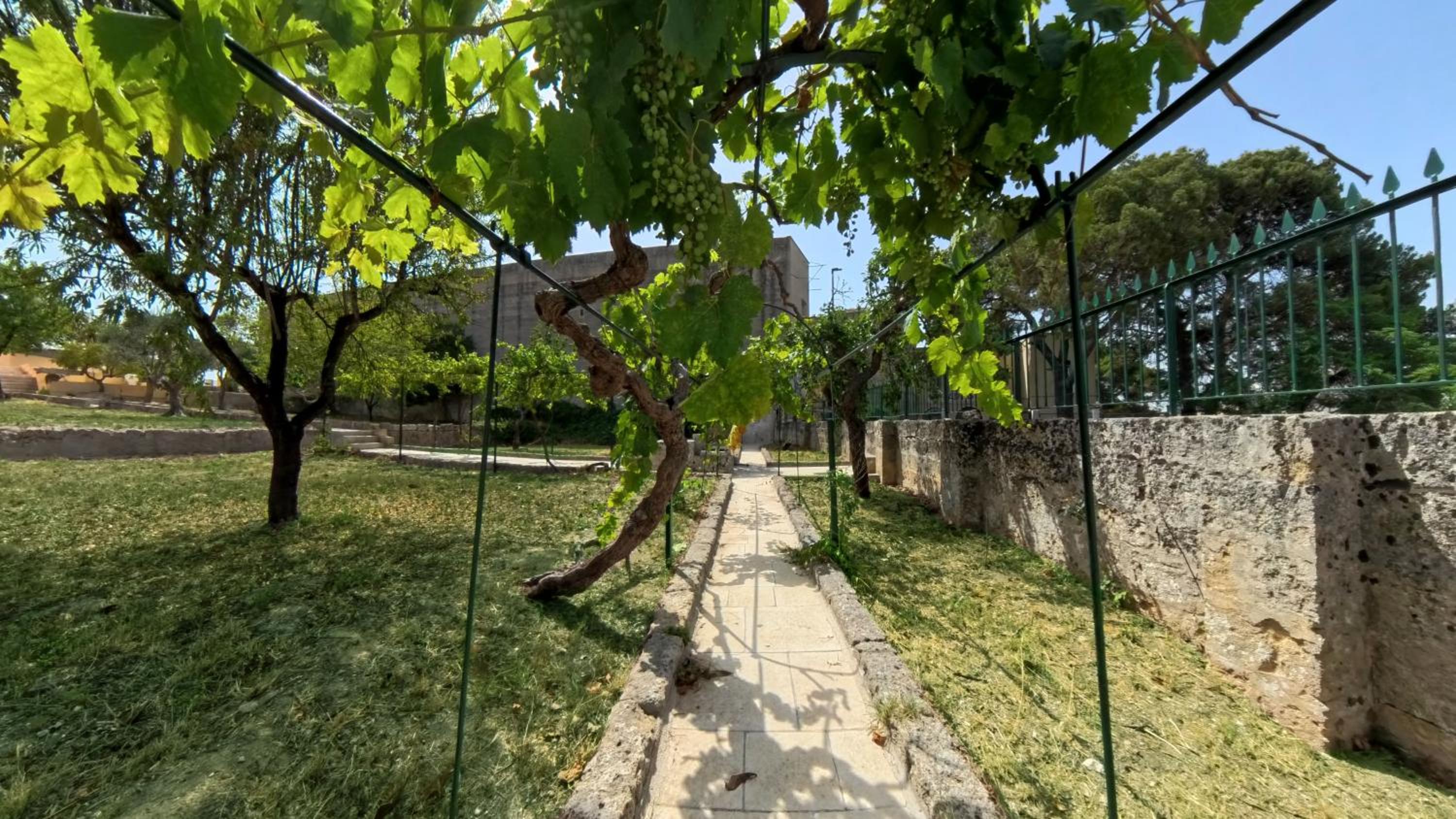 Photo 31