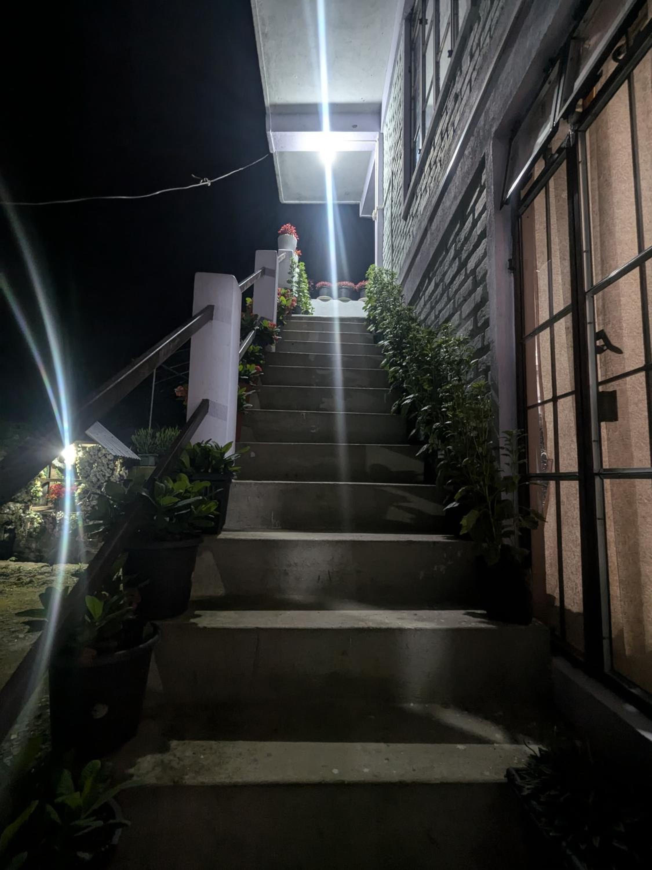 Rhododendron Homestay
