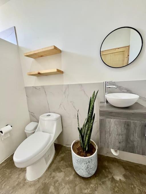 eco living 2 bd oasis with ocean view Casa Milpa view 2