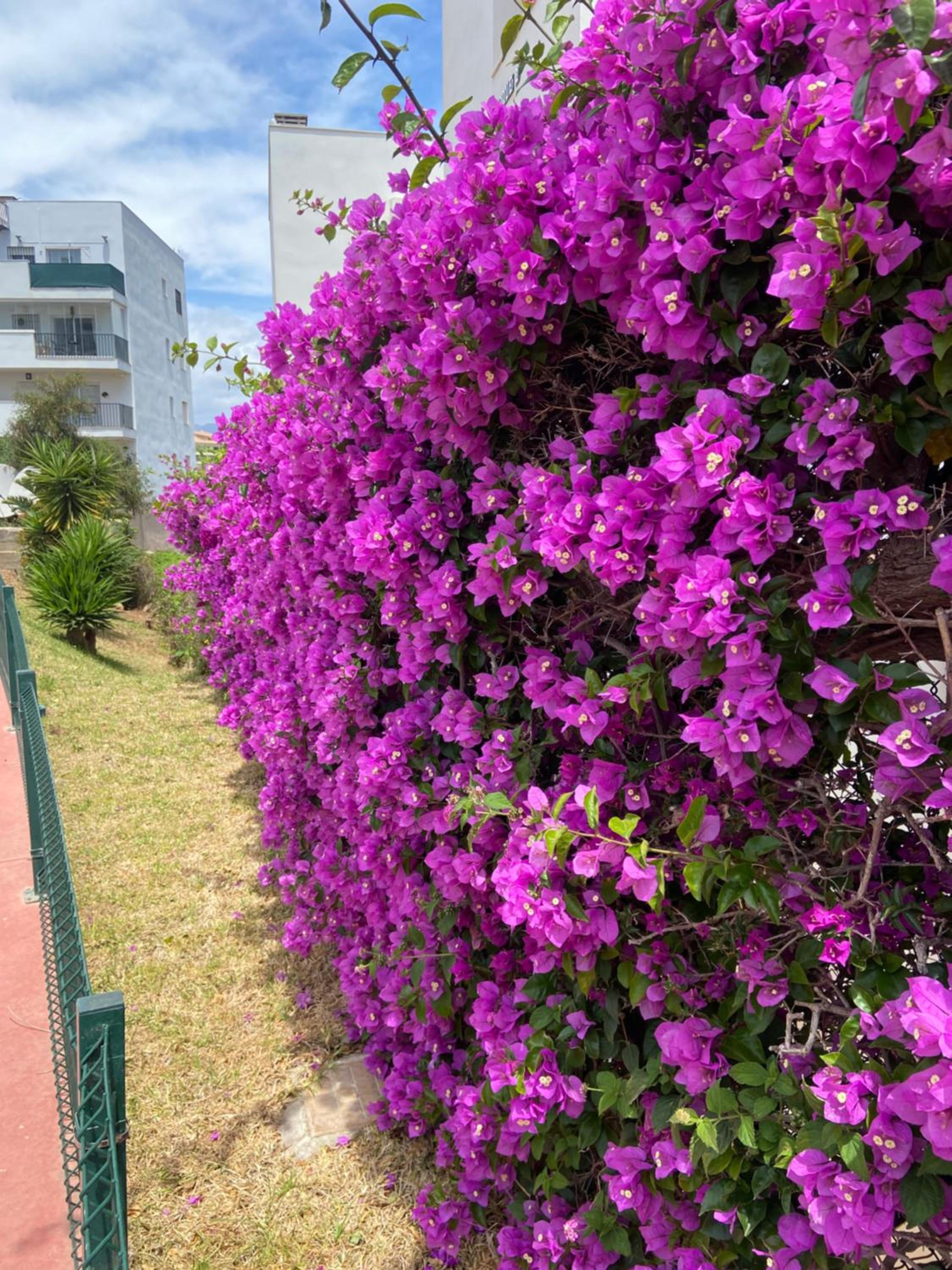 Amazing see view on Miraflores