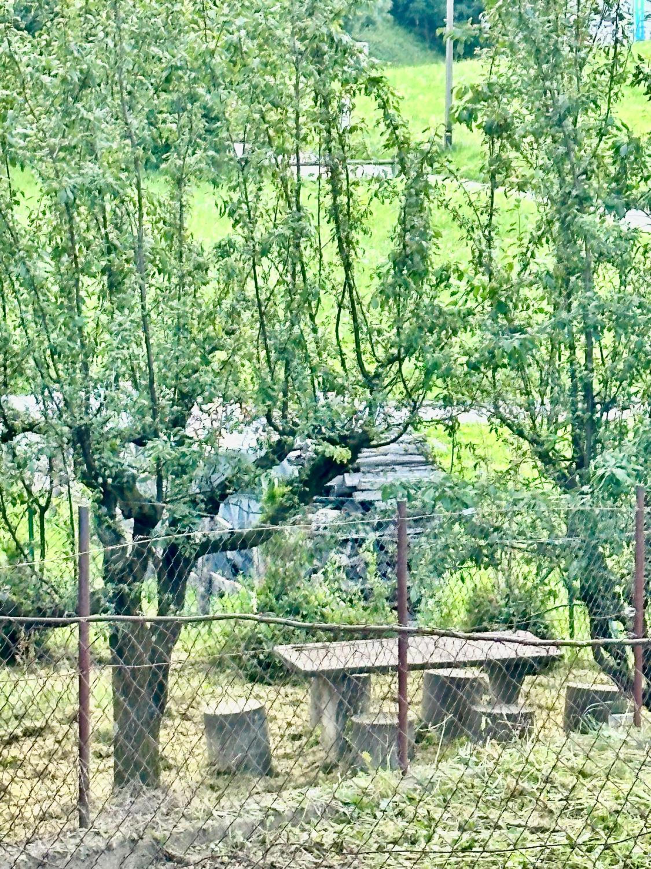 Appartamento in montagna