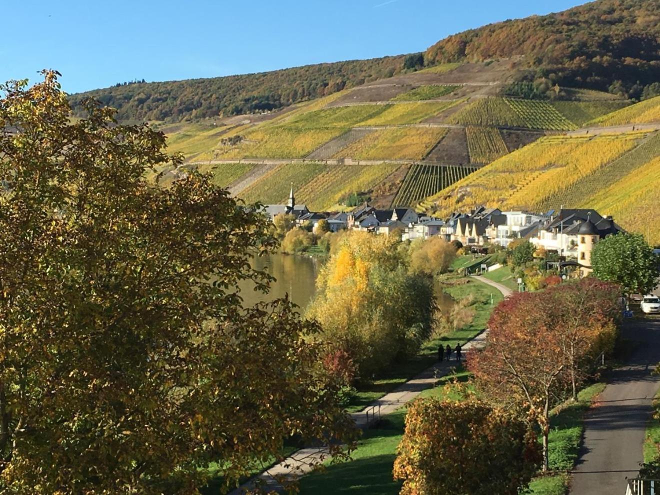 Ferienhaus Mosellage