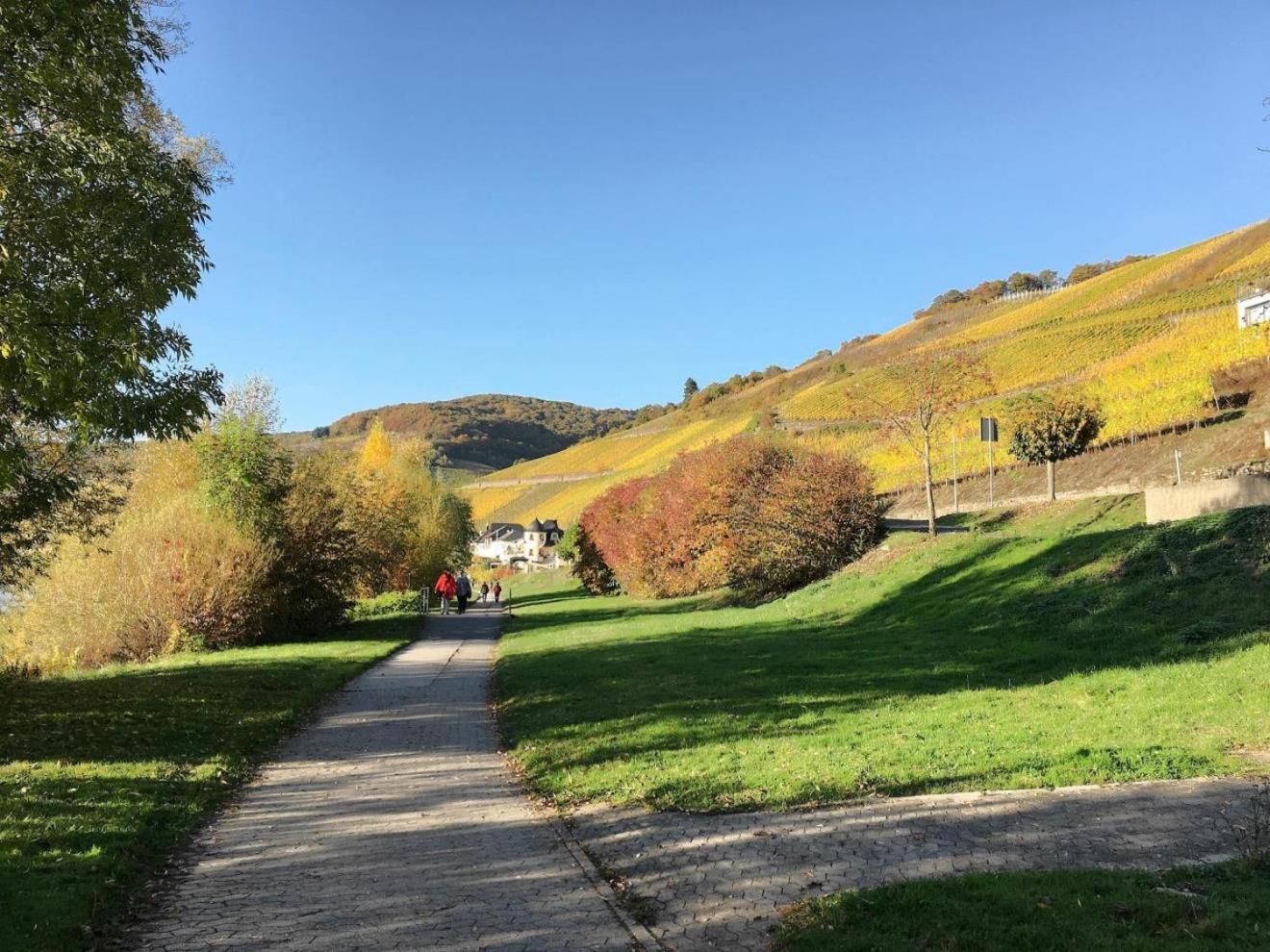 Ferienhaus Mosellage