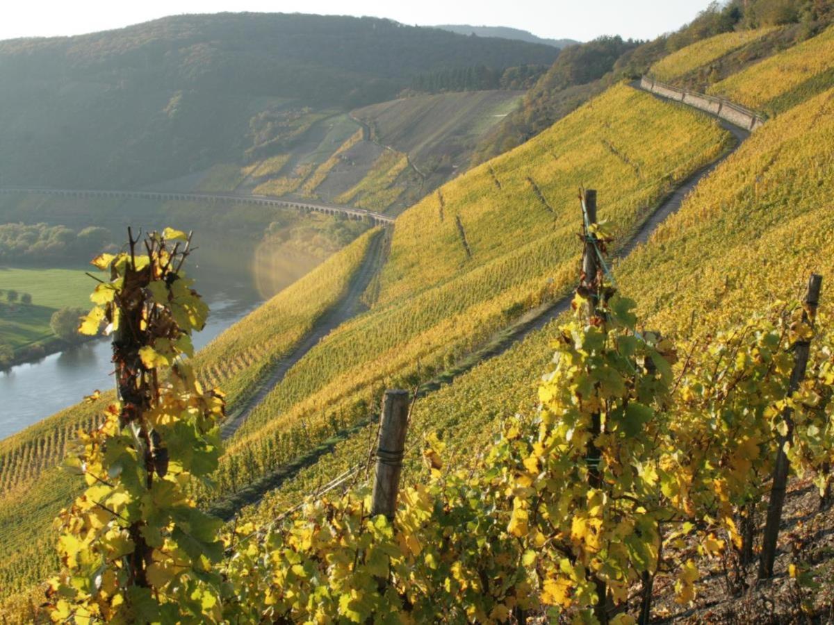 Ferienhaus Old Winery