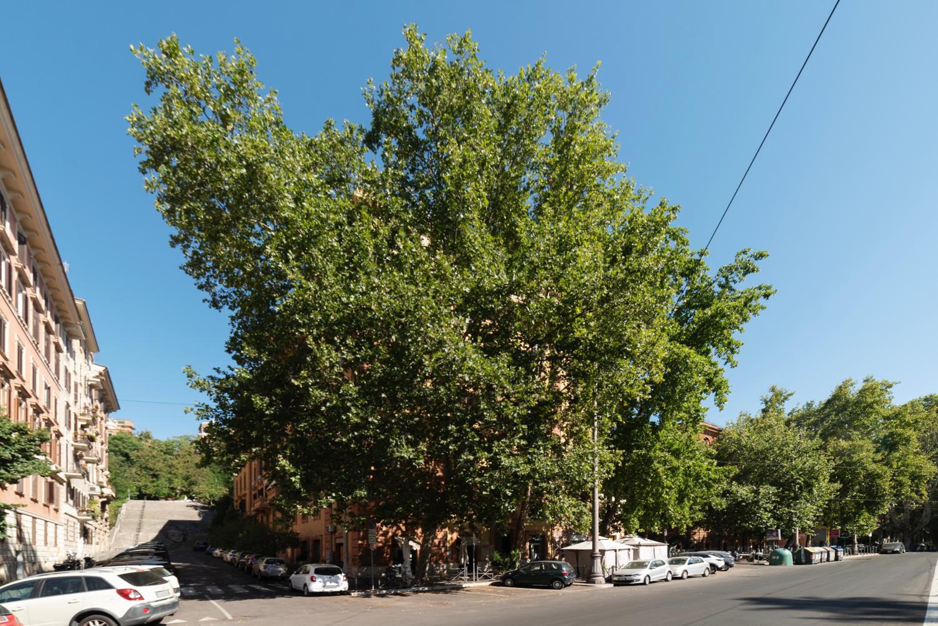 GuestHost - Piazza Nievo a Trastevere Cozy Apartment
