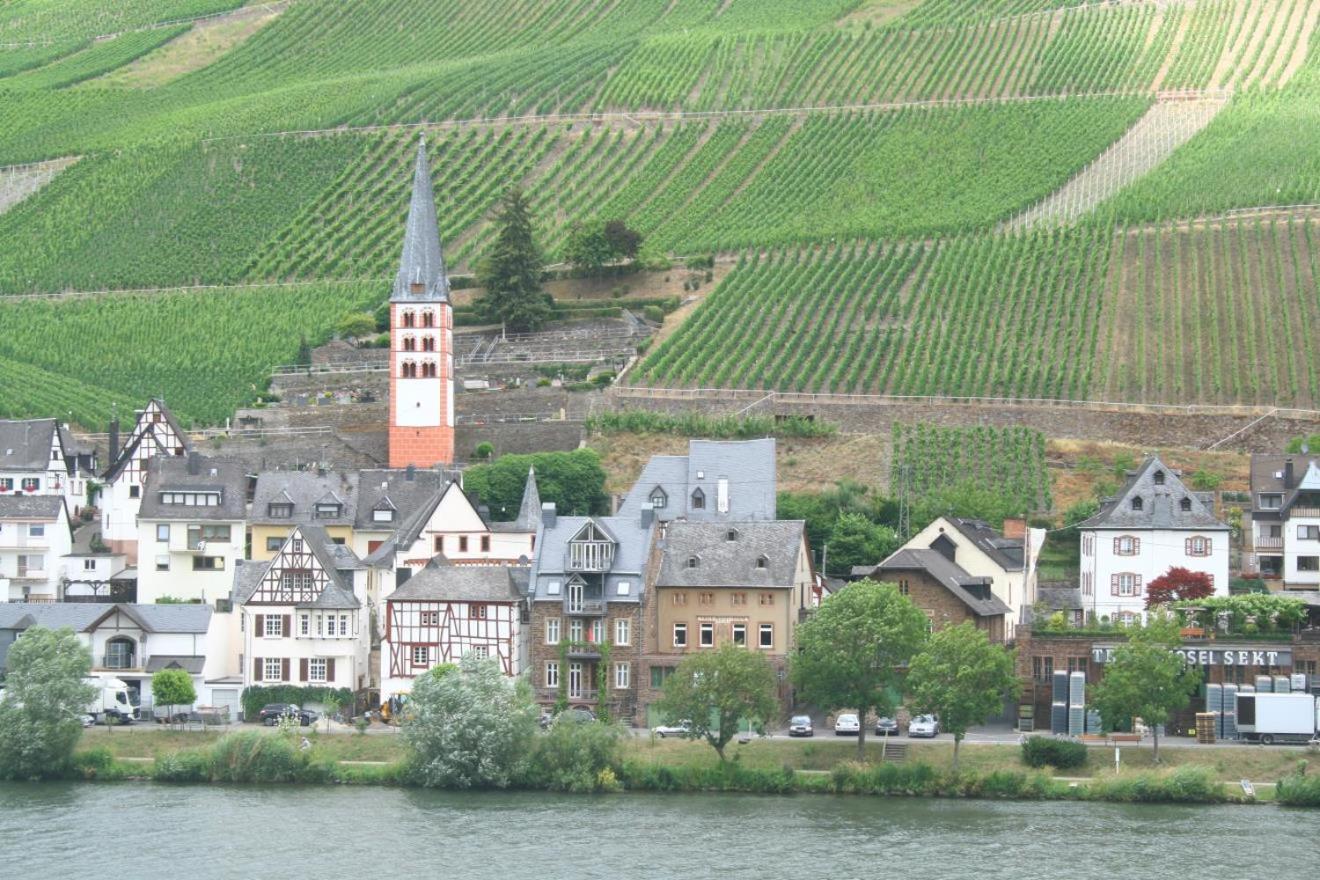 Ferienhaus Moselmerle