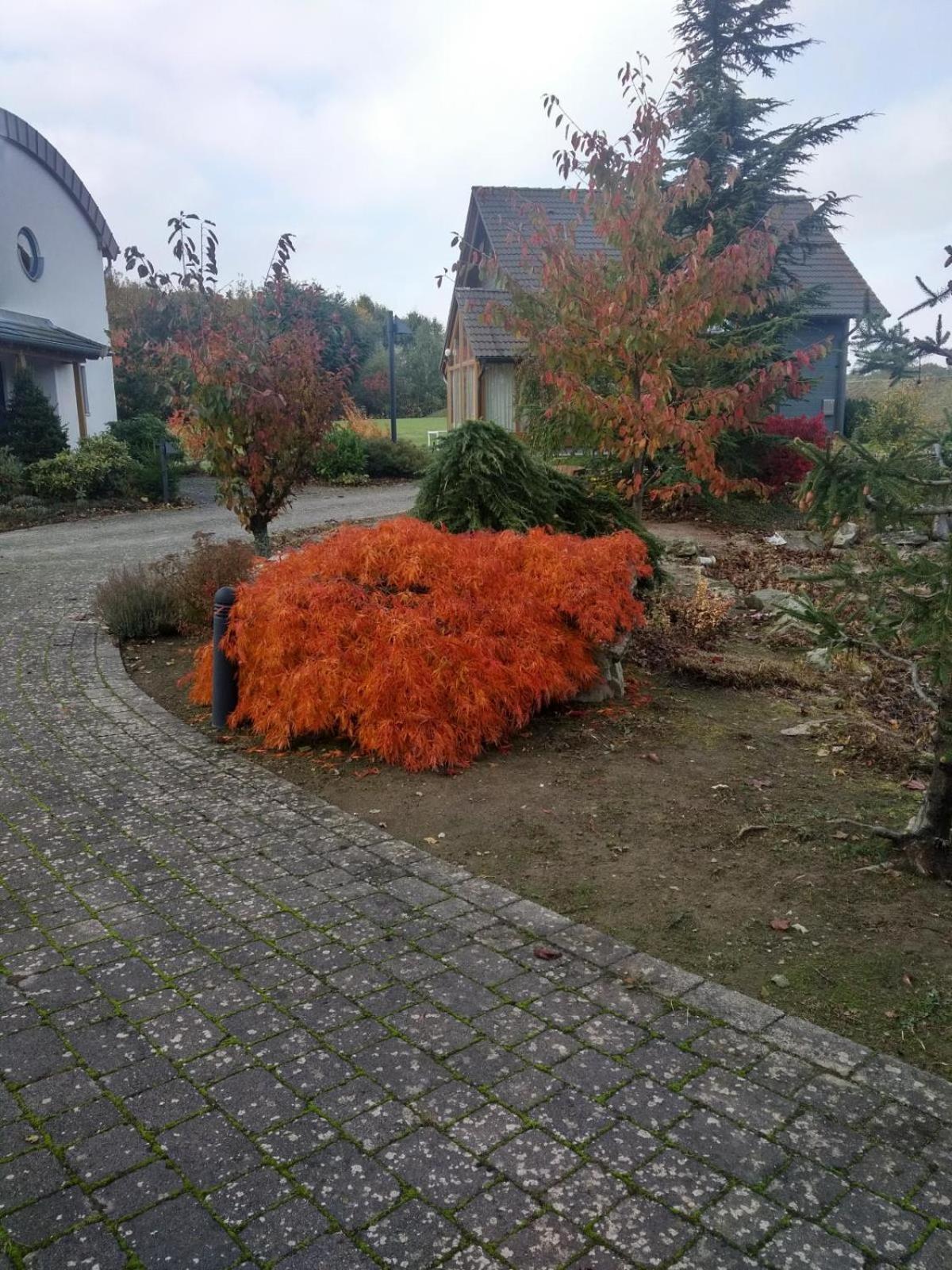 Das gelbe Landhaus