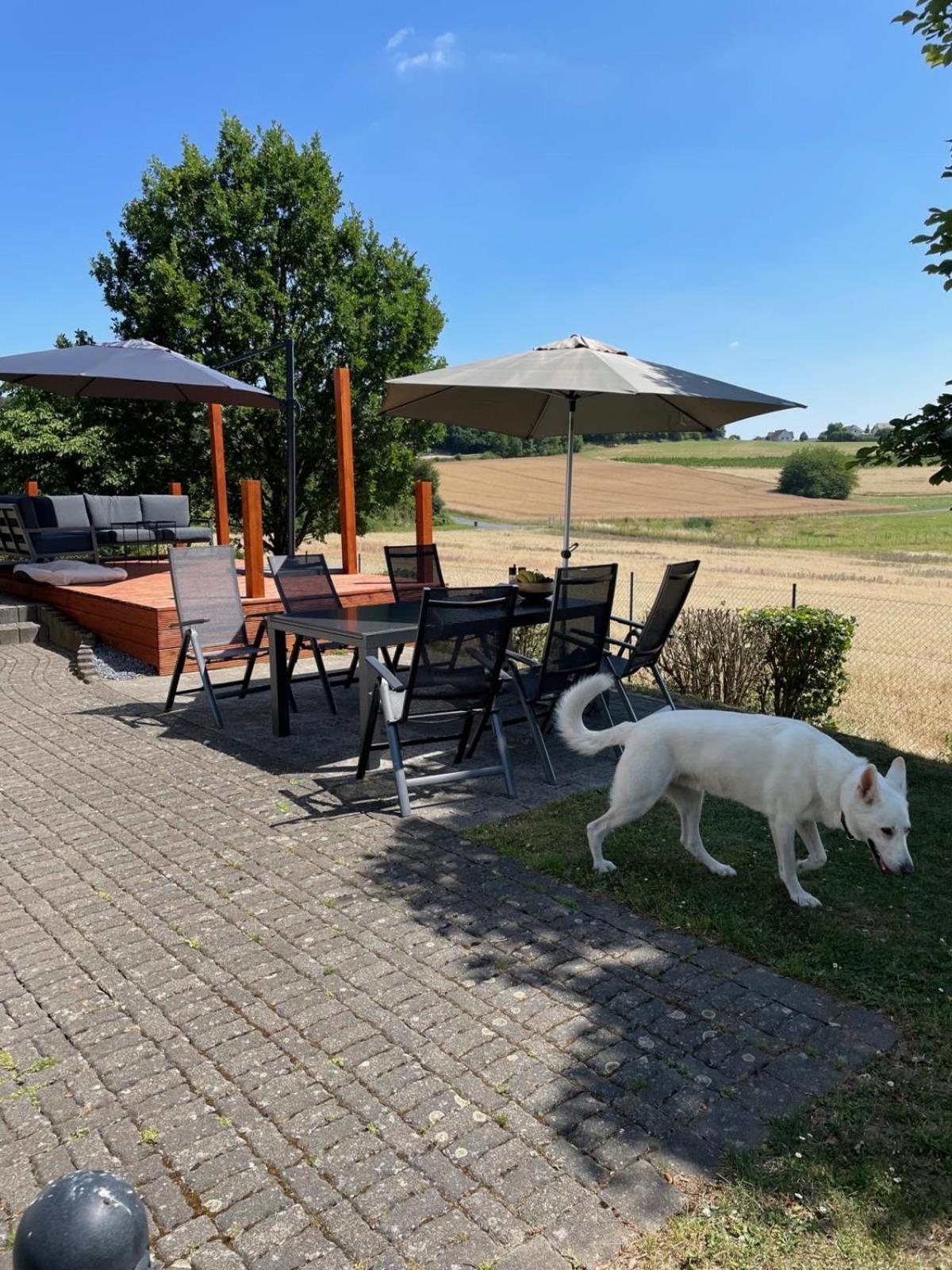 Das gelbe Landhaus