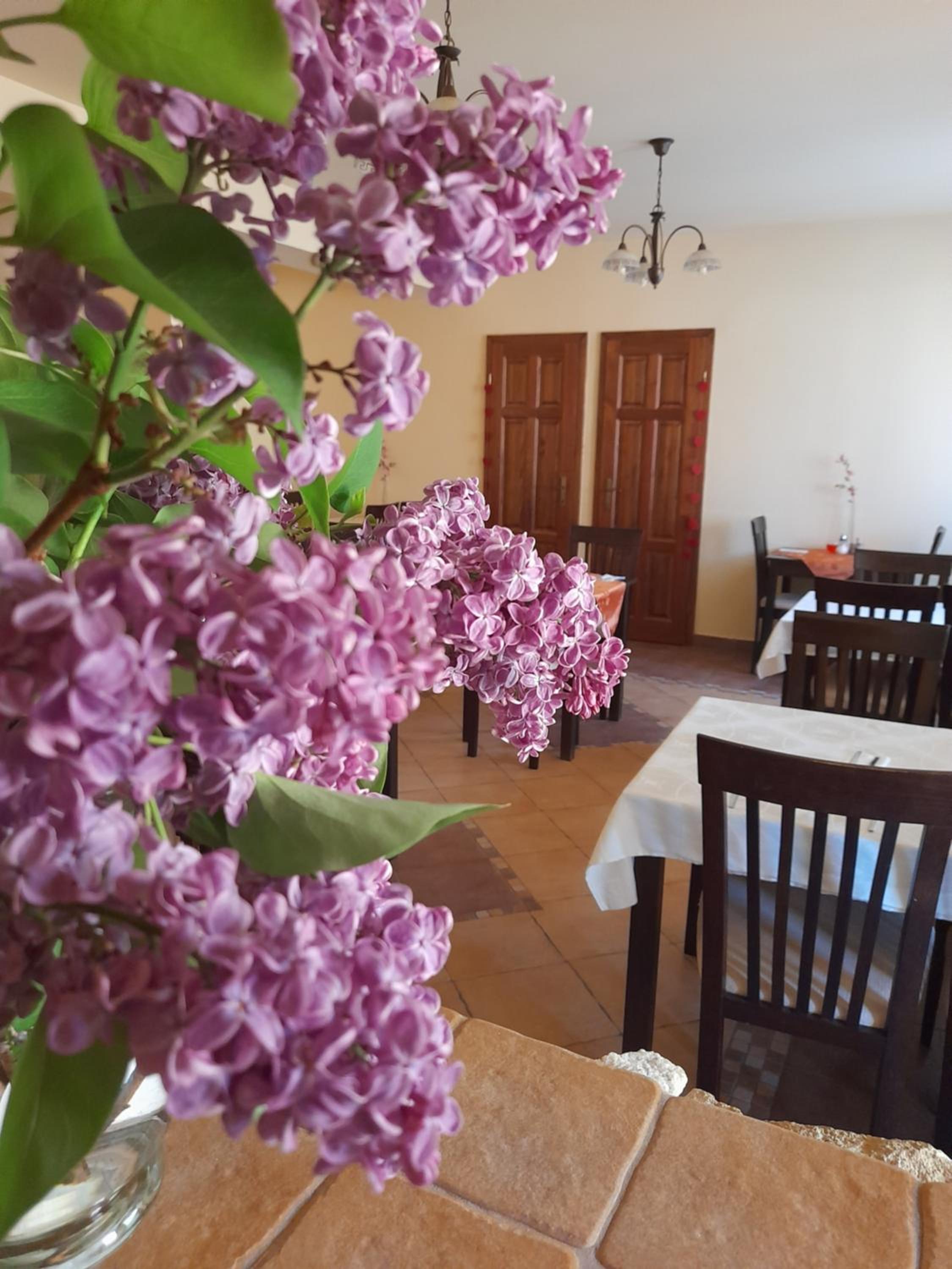 Harmónia Wellness Villa
