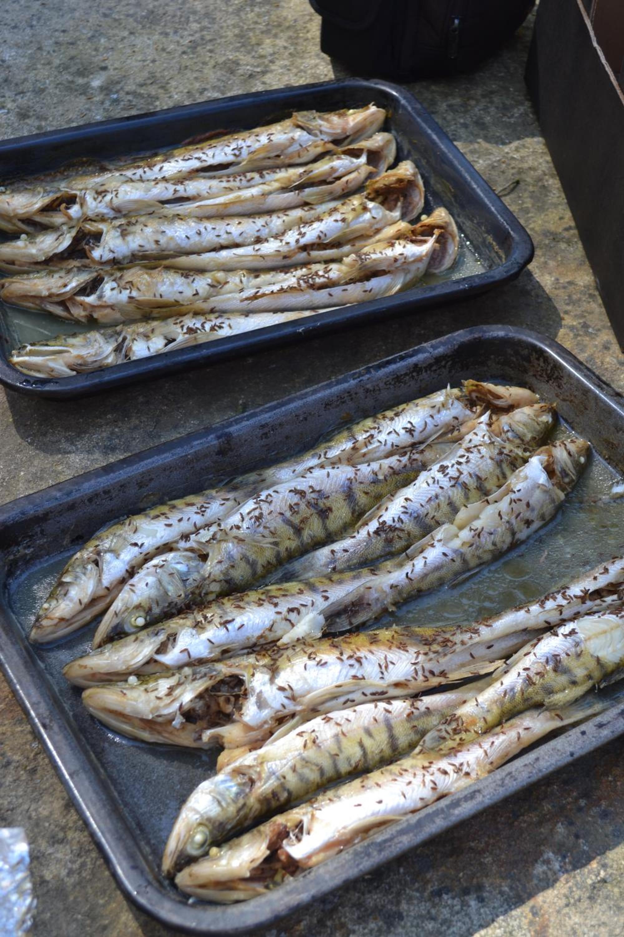 Slavonice Modletice chalupa s řekou a rybníky pro rodiny