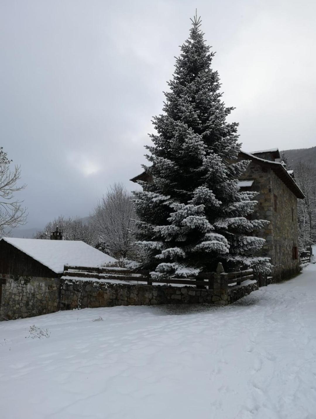 Borda Villanova