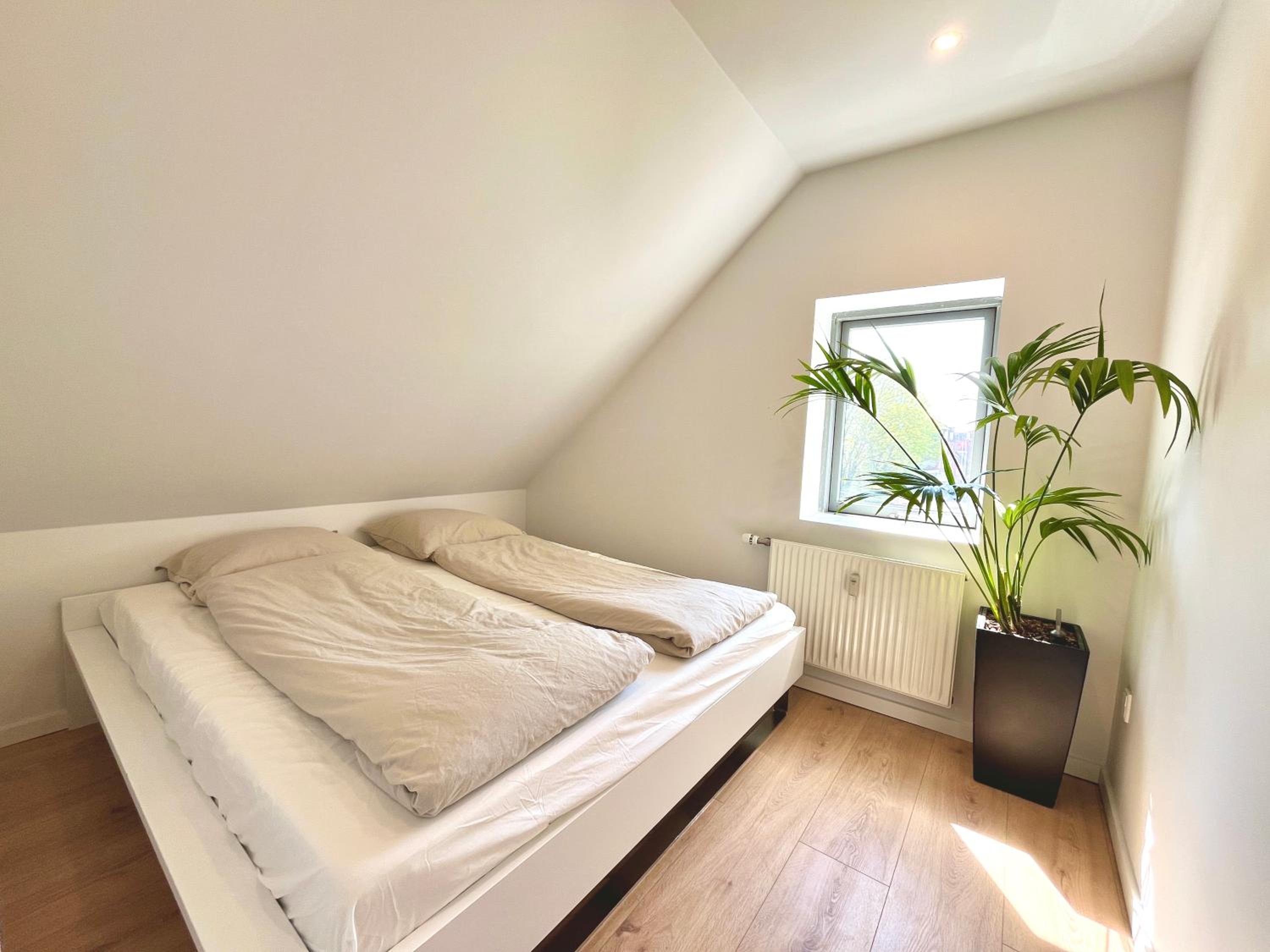 Modern apartment close to city