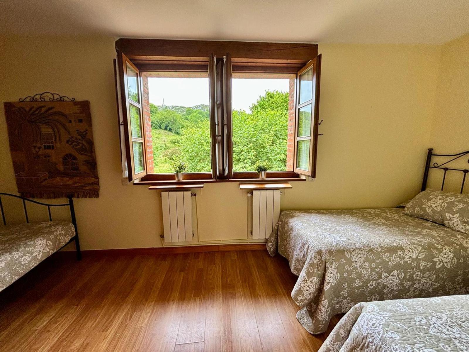 Photo 24