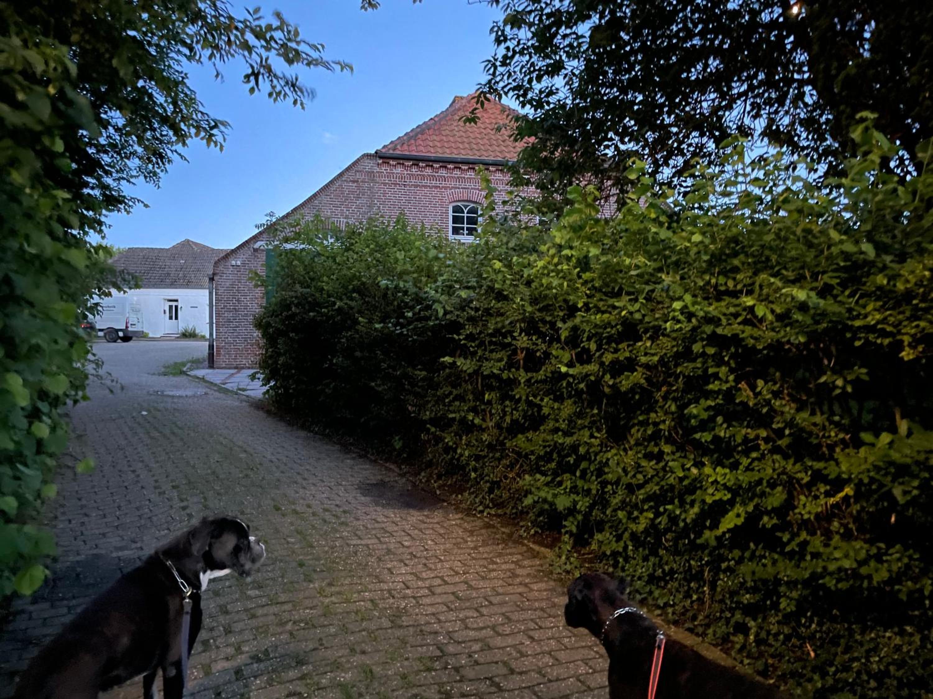 Gulfhaus Alte Meesterei