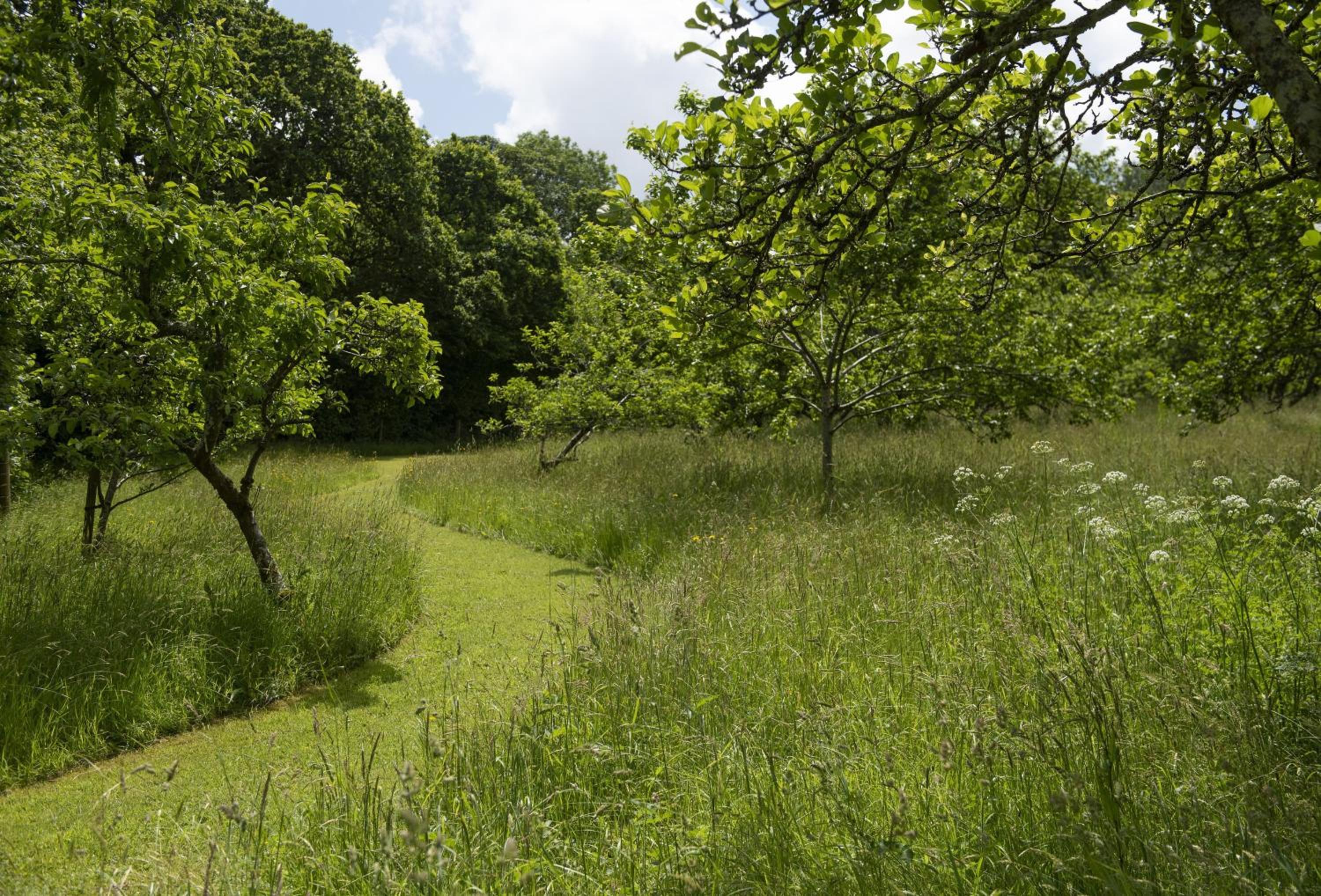 The Watermill