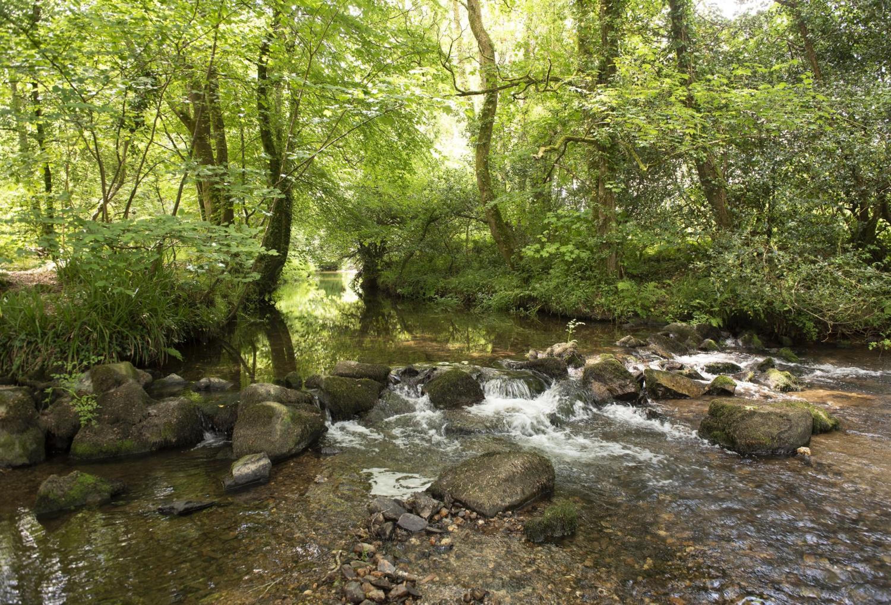 The Watermill