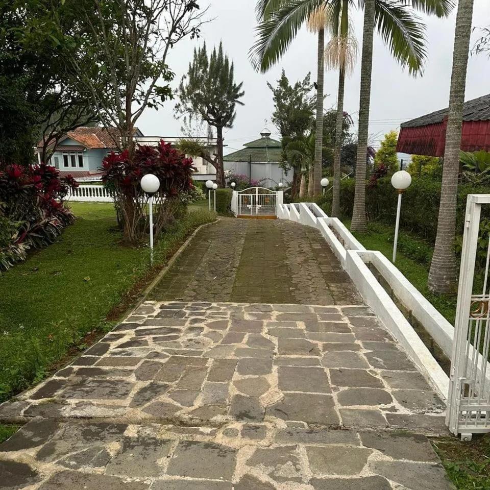 Photo 25