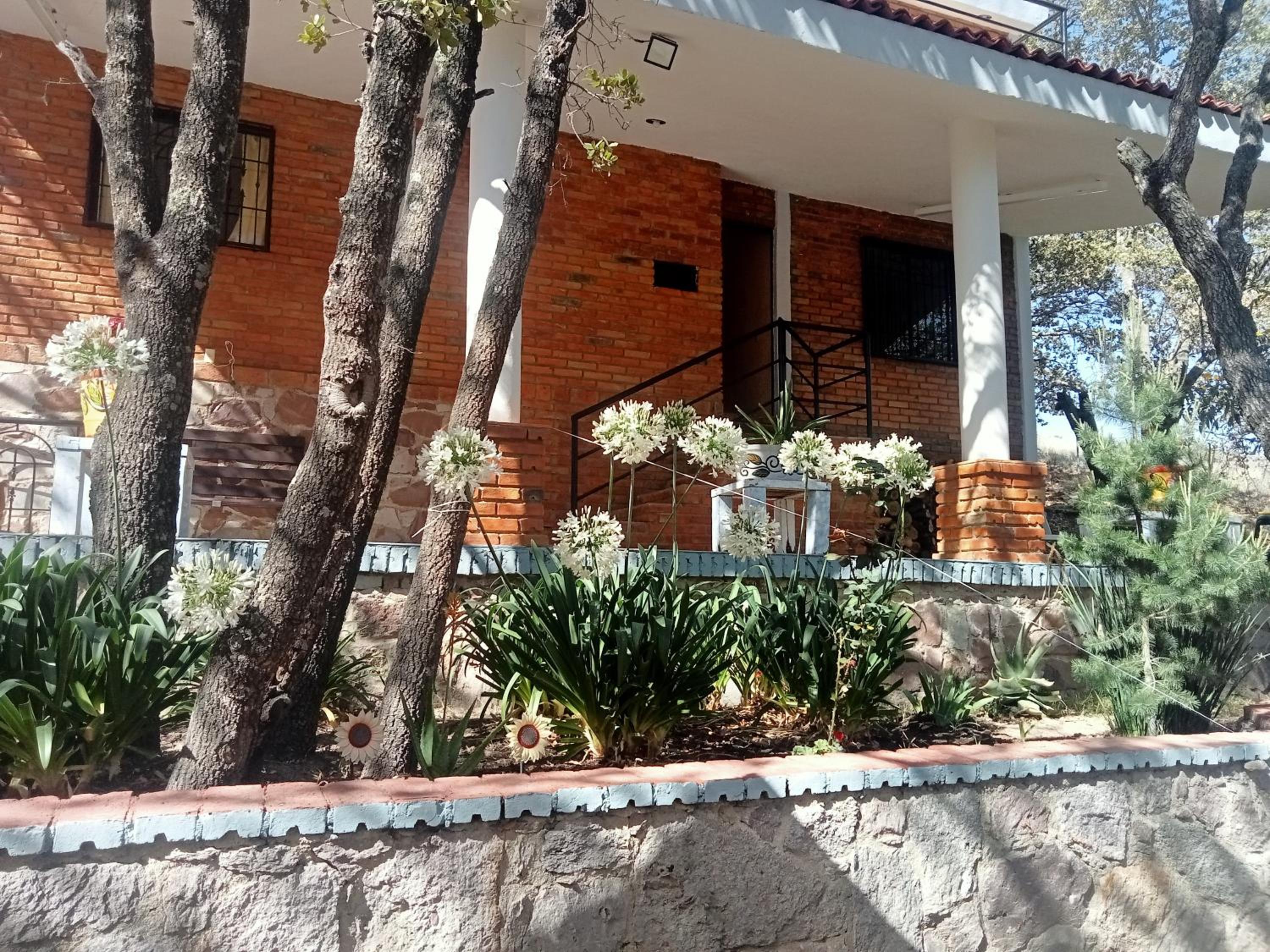 Cabaña Camila view 3