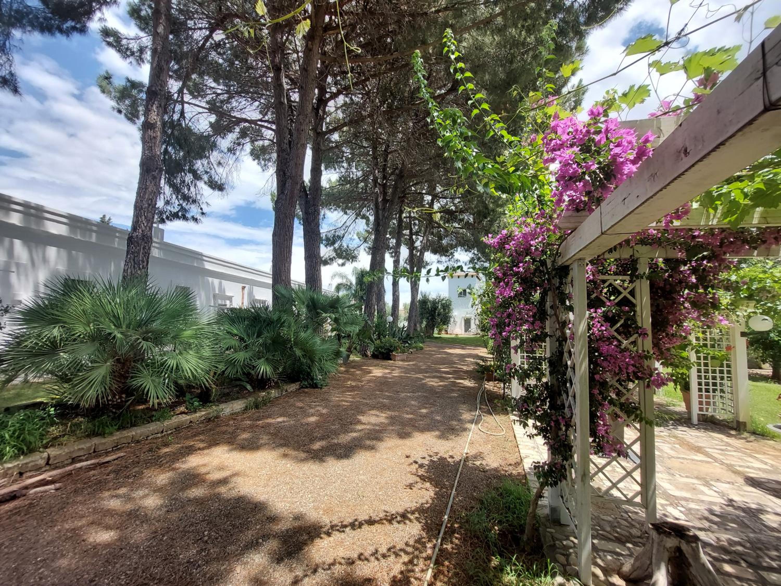 Agriturismo La Stornara, Petfriendly & EV Friendly