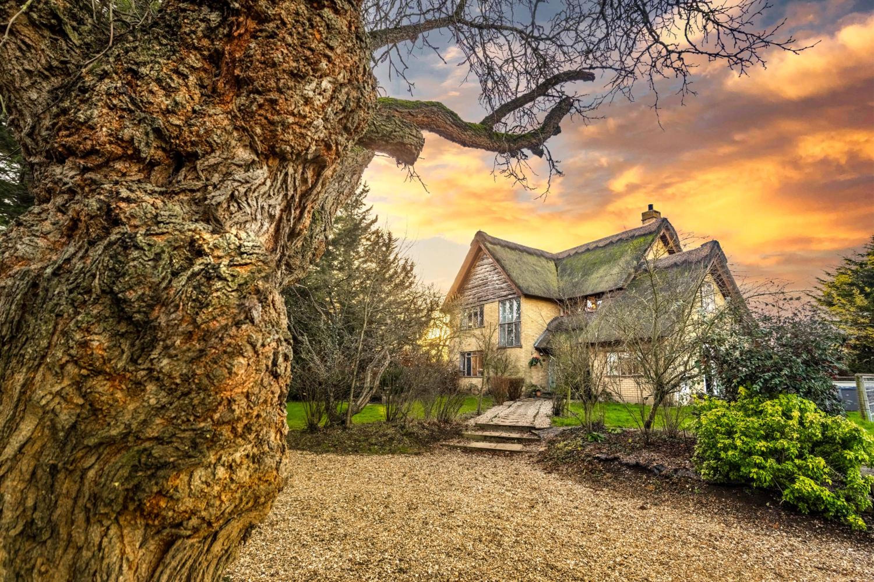 mulberry house