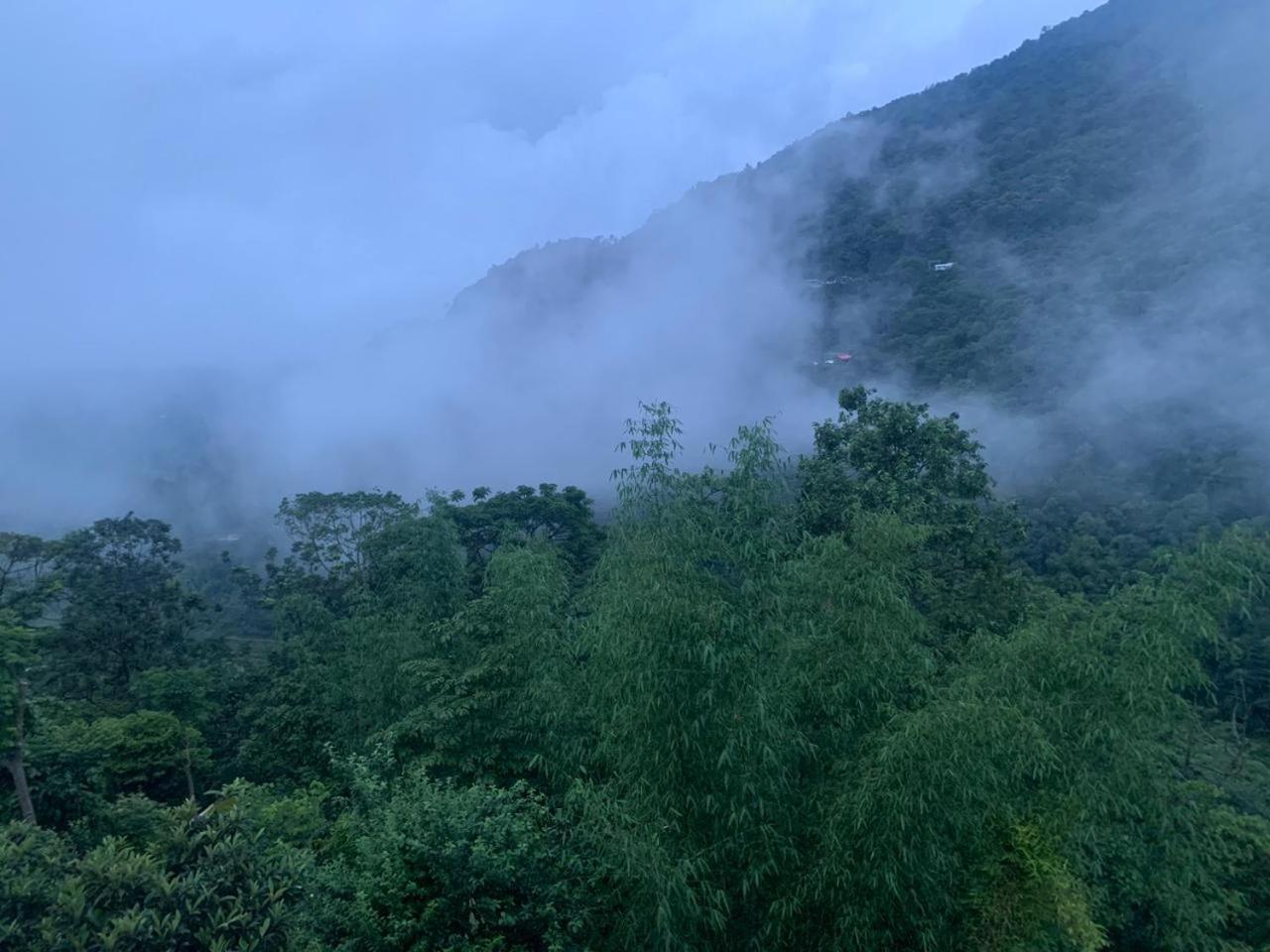 Ratsa's Homestay view 2