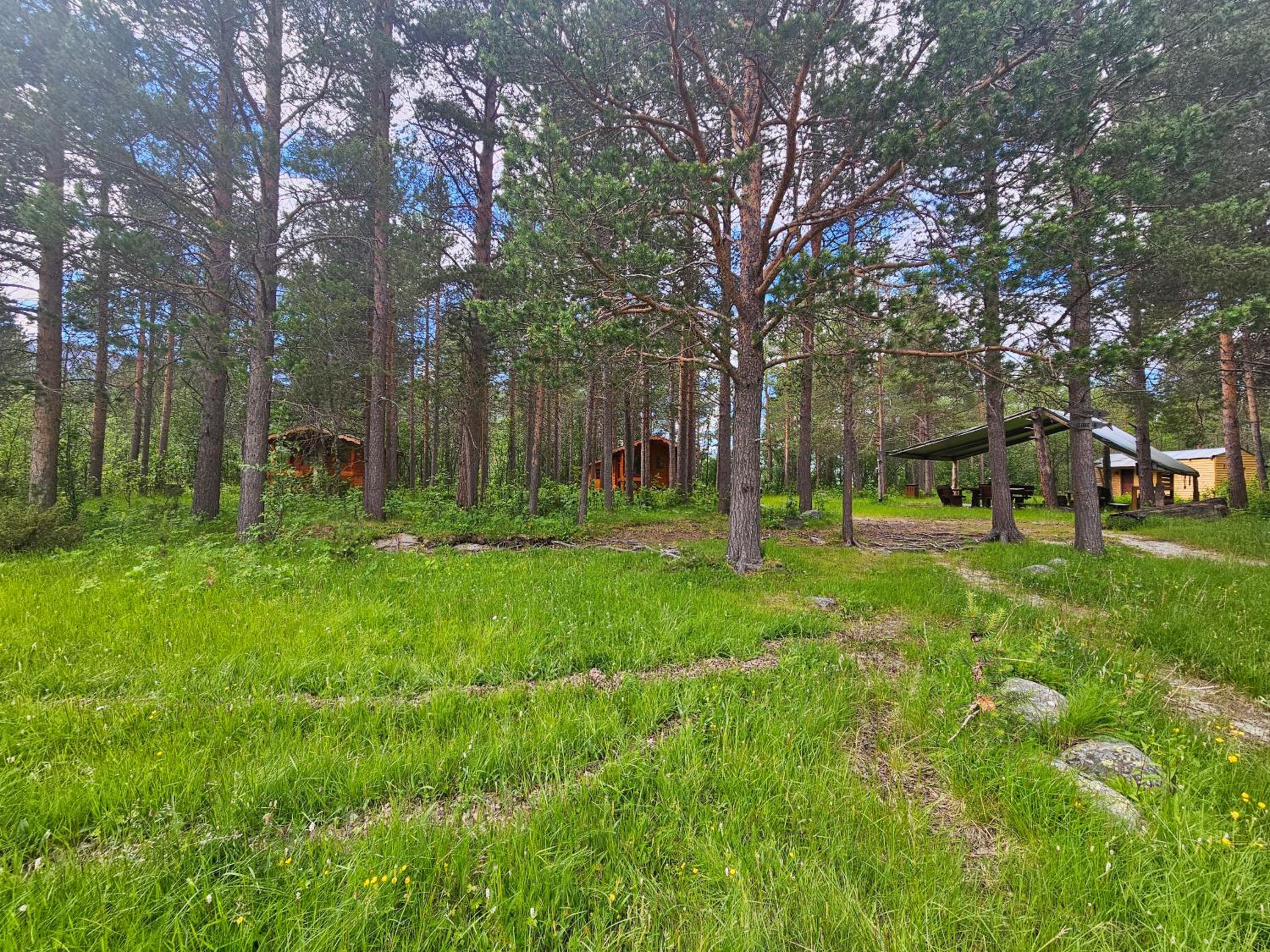 Tørfoss Gård, Hytte utleie, Campingvogn og bobil plasser view 4