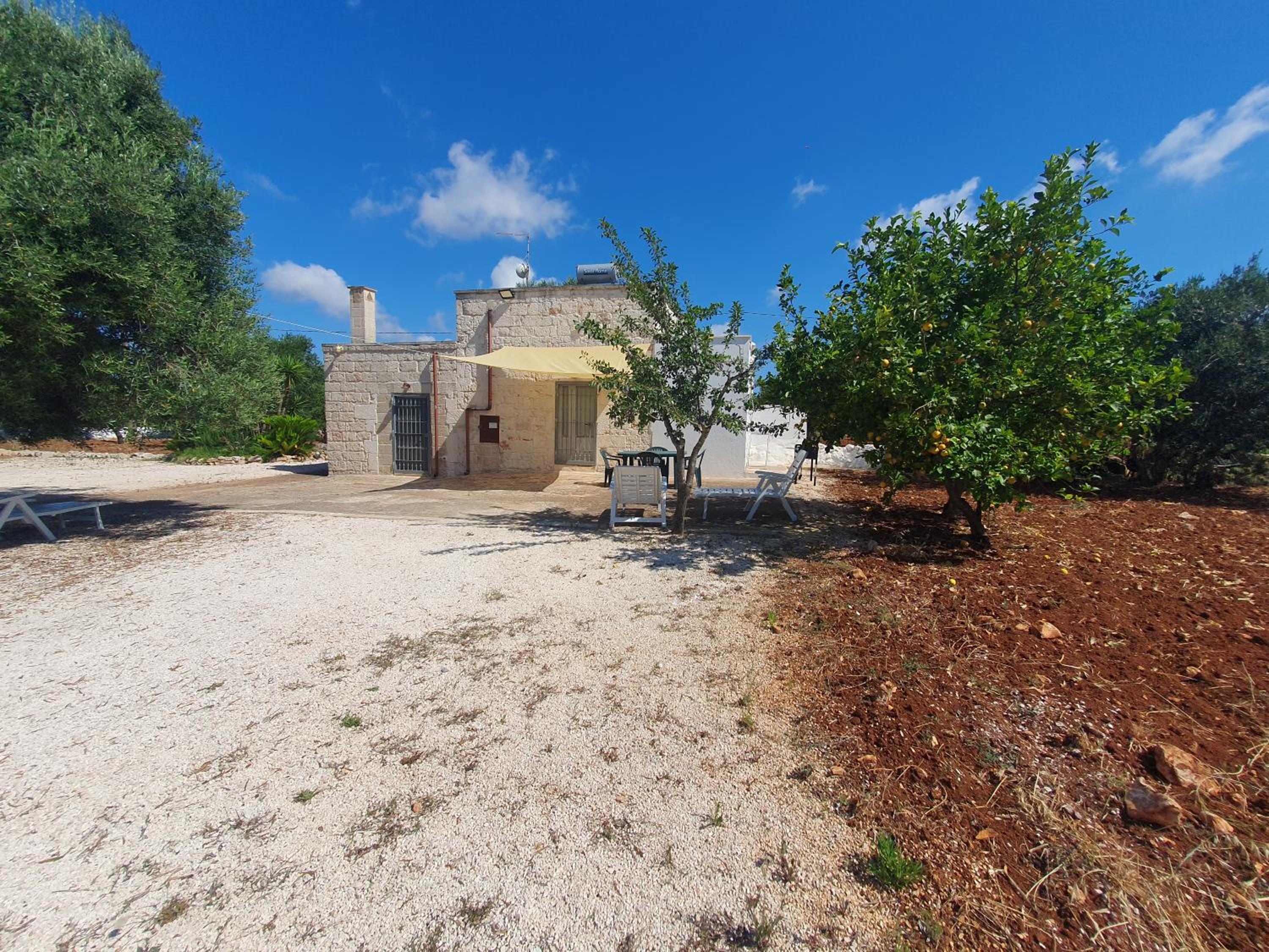 casina tra gli ulivi view 4