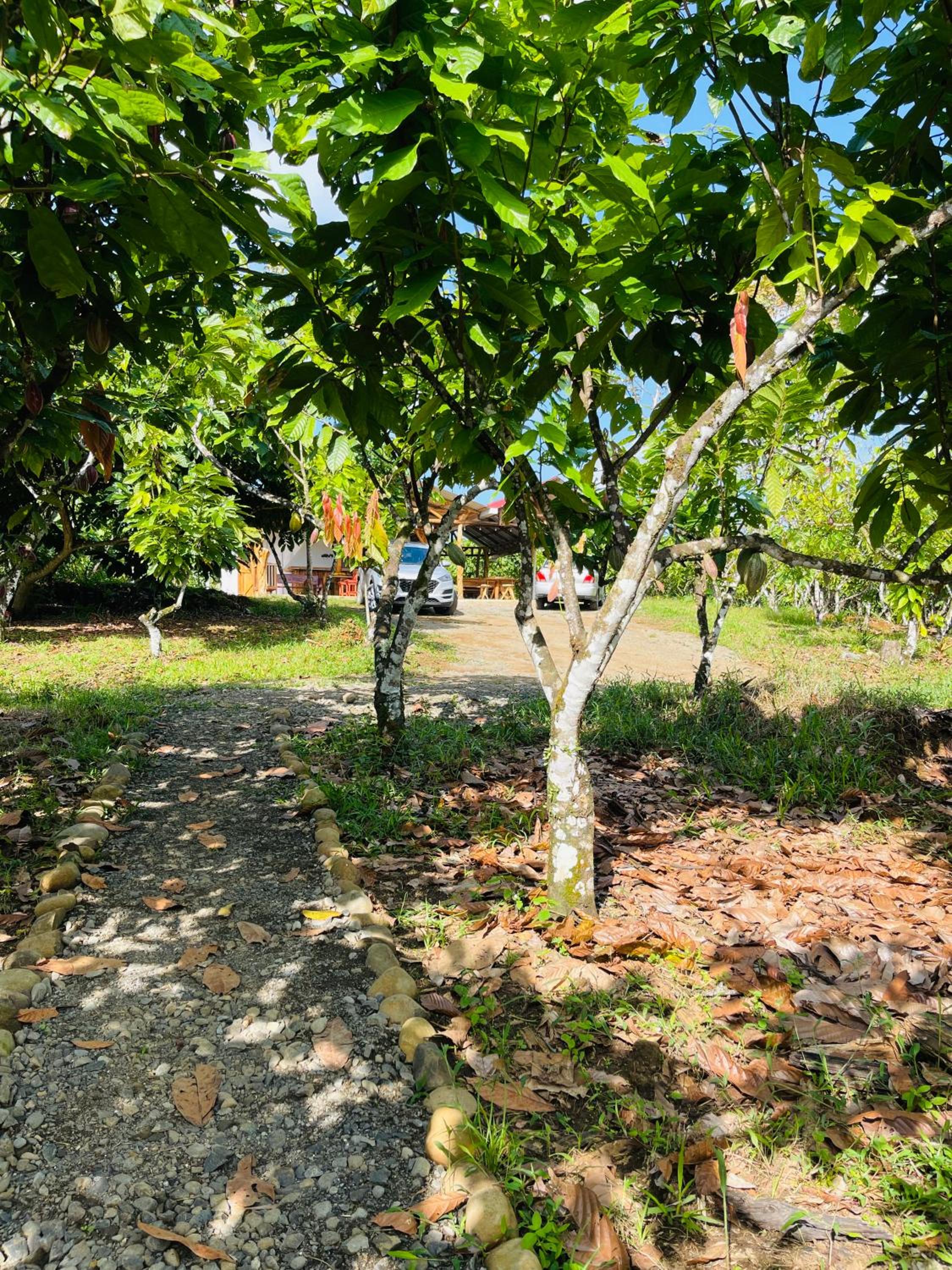 Río Celeste, Cacahua Lodge