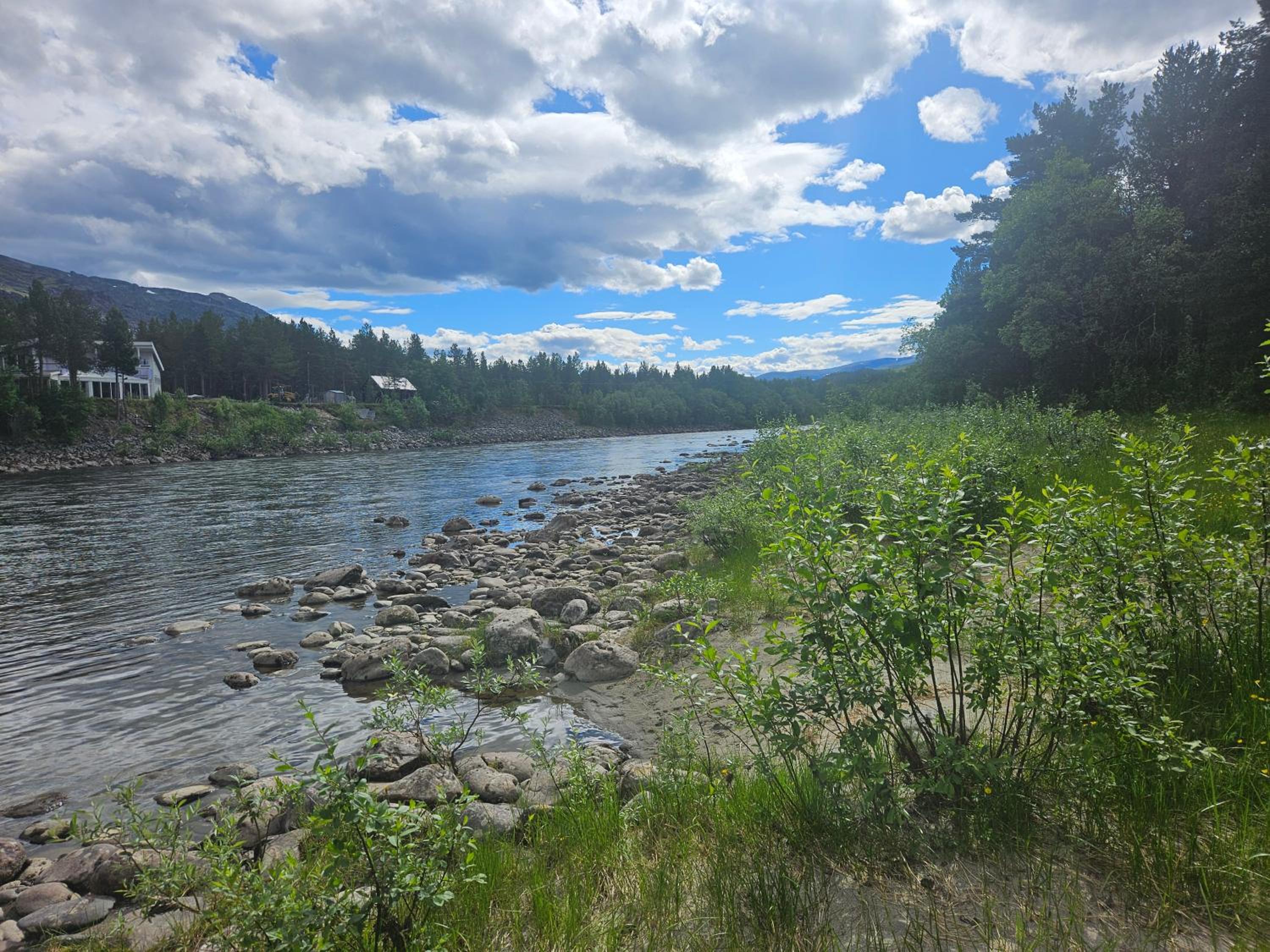 Photo 63